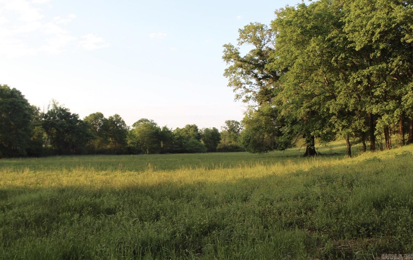 Dreaming of your very own farm? Look no further. You've found it. 22.29 acres that will take your breath away. Beautiful property to build your dream home. This is where special memories can be made. Key features include a private long driveway to the house pad at the top of the hill. There is a small year-round pond. Mostly fenced property. Gorgeous pasture directly out from the potential home site.  Water meter already on the property and electric company plans have been established. Call today for an appointment. Get ready for a dream come true.