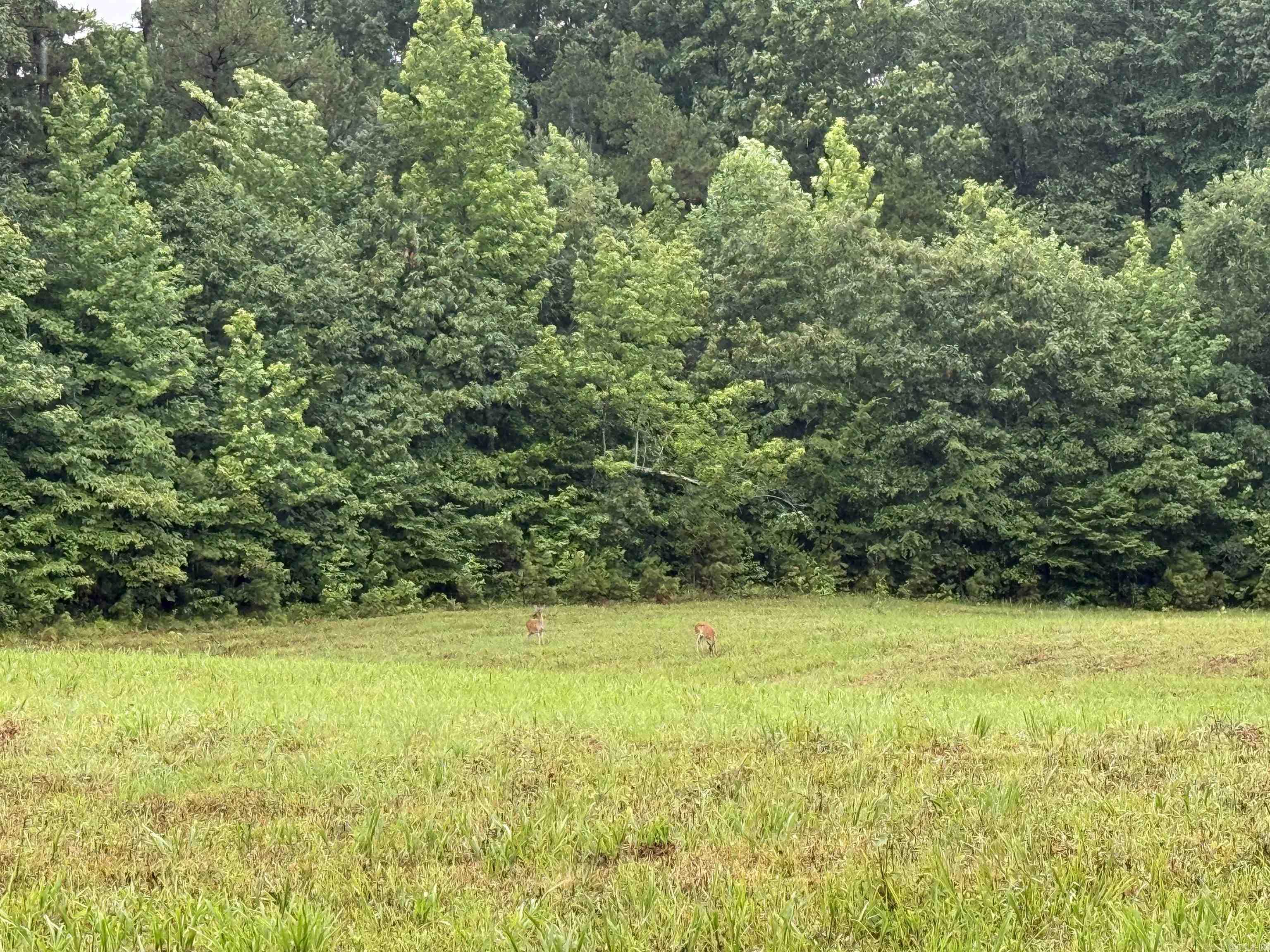 Not in Subdivision - Farm