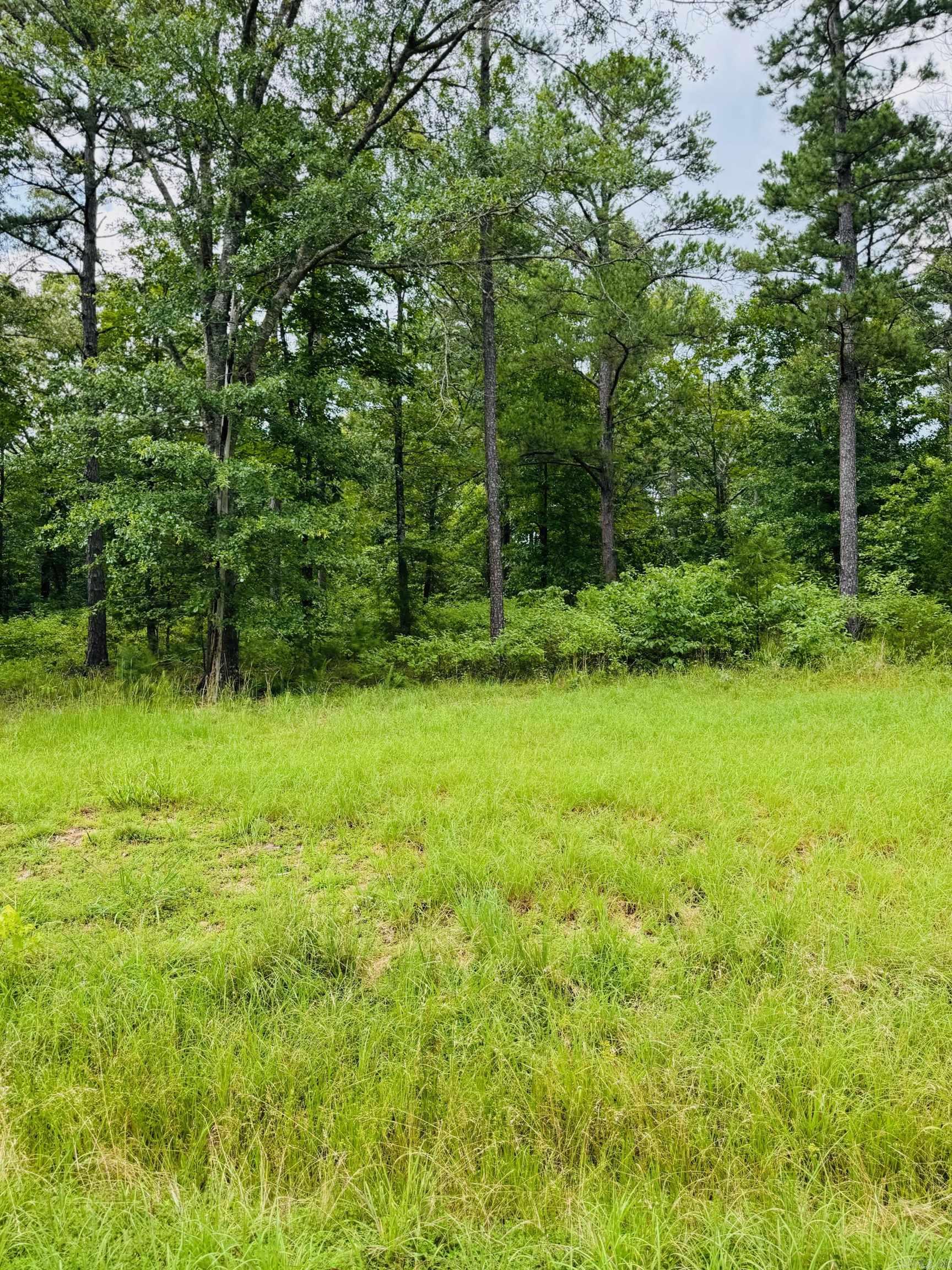 Are you dreaming of retreating to the beautiful Little Red River? This picturesque land is the perfect place to build your cozy dream home. Escape the hustle and enjoy a quiet community that offers a private community pool, boat ramp and dock on the Little Red River and minutes away from Greers Ferry Lake! This gated community offers modern amenities, access to hiking trails, boating, swimming and world-record trout fishing. Access to all the Natural State has to offer is only an offer away. Let us make your dream a reality!