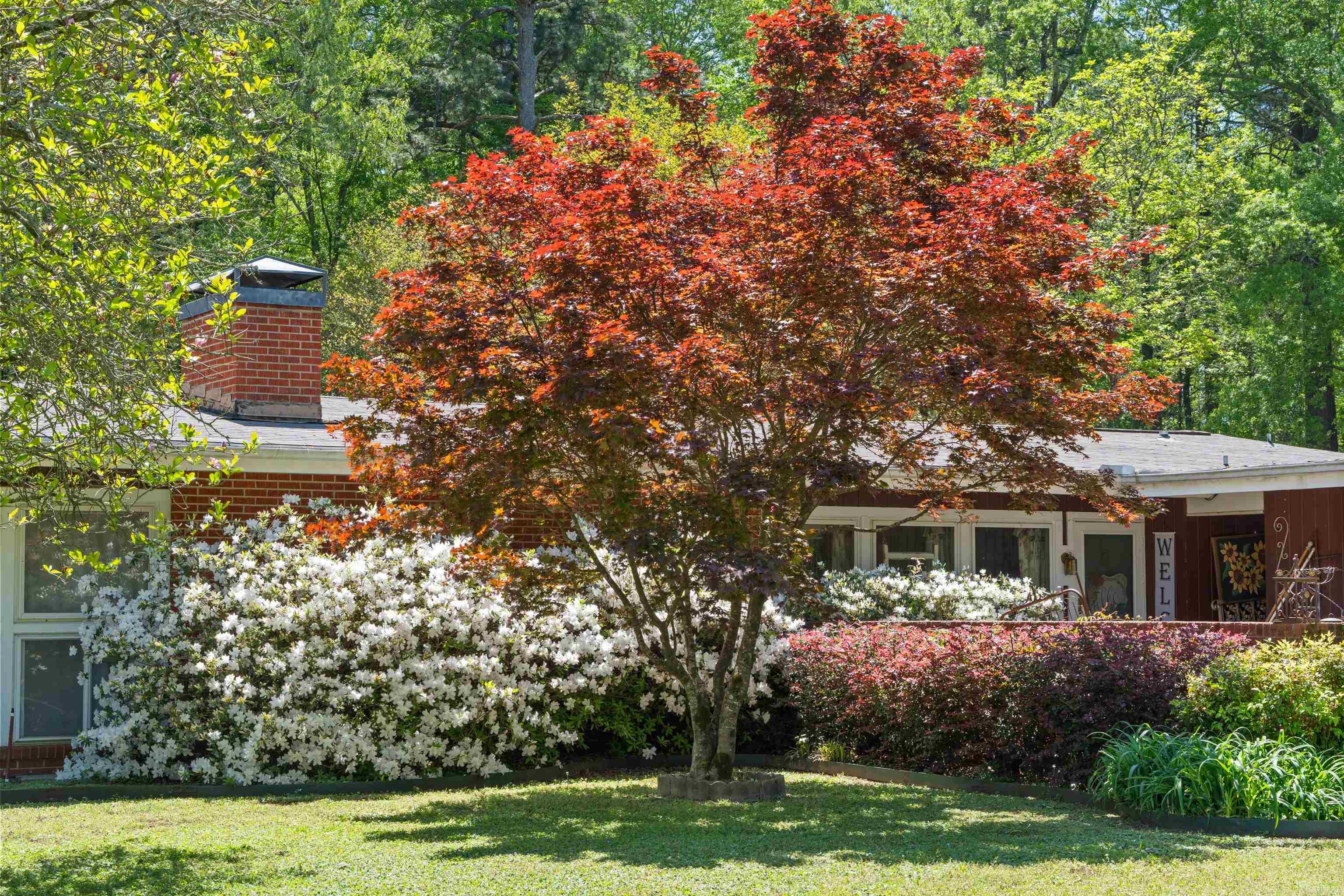 O R WILLIAMS & R N SCALES - Residential