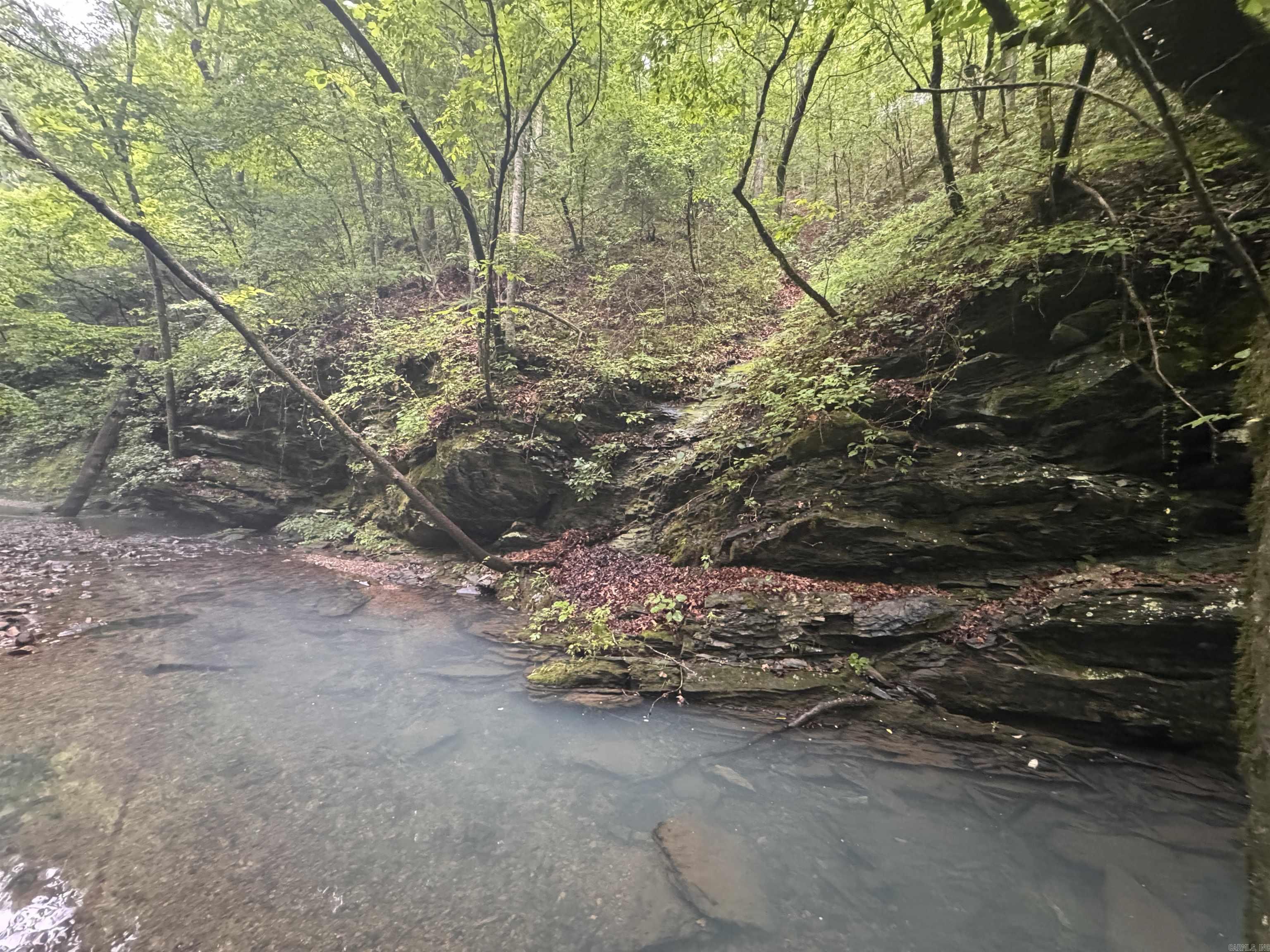The perfect outdoor paradise you've been looking for! 10 acres with creek frontage and adjoining national forest.  Location is key, within 15 minutes of two Lake Ouachita boat ramps, 45 minutes to Hot Springs, or just a short drive to the Caddo River. Electricity at the street. Well and septic will need to be installed.