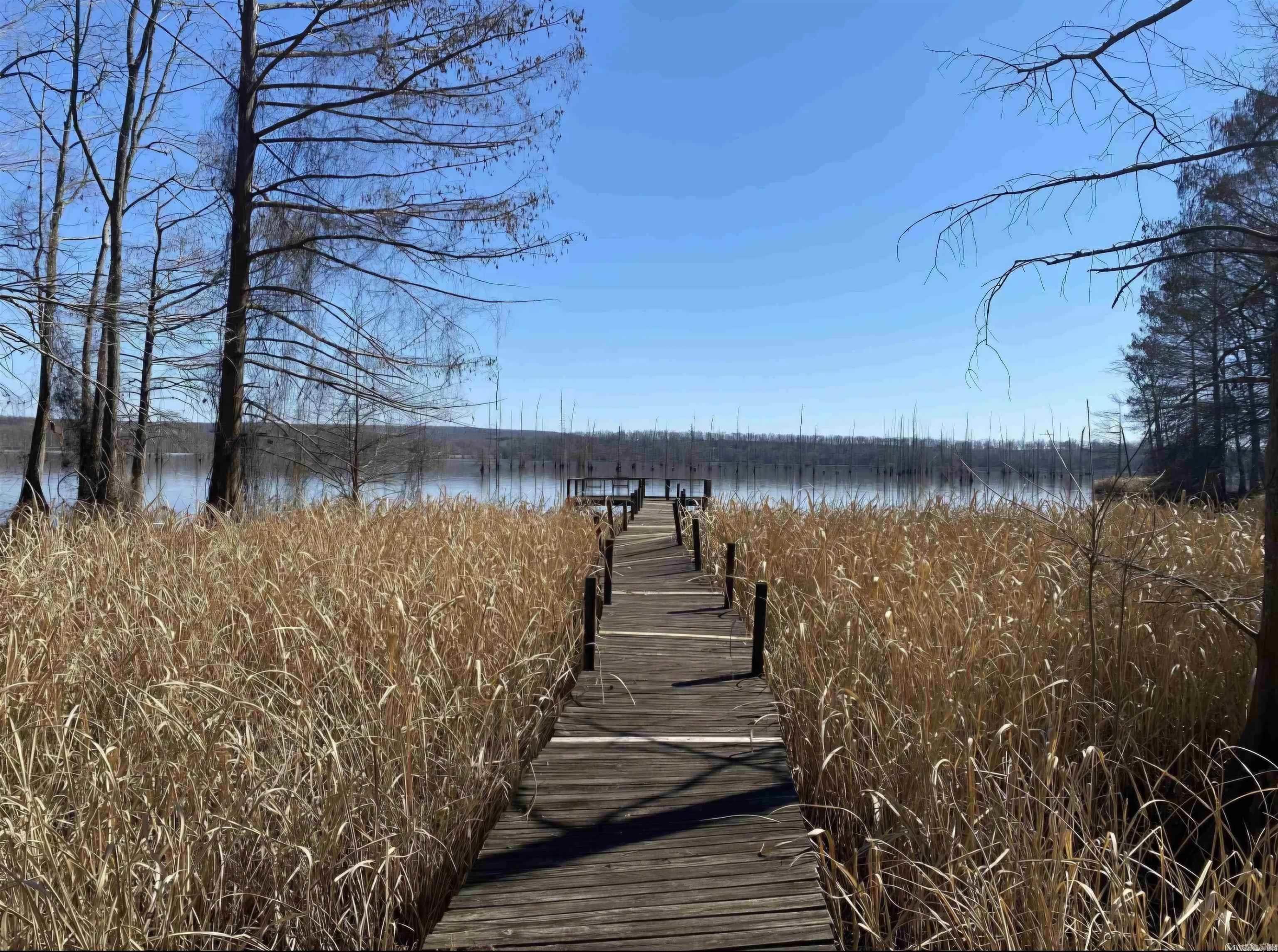 This lot is ready for you to park your R/V with full hookups or build a cozy cabin and enjoy lake views and peaceful surroundings.