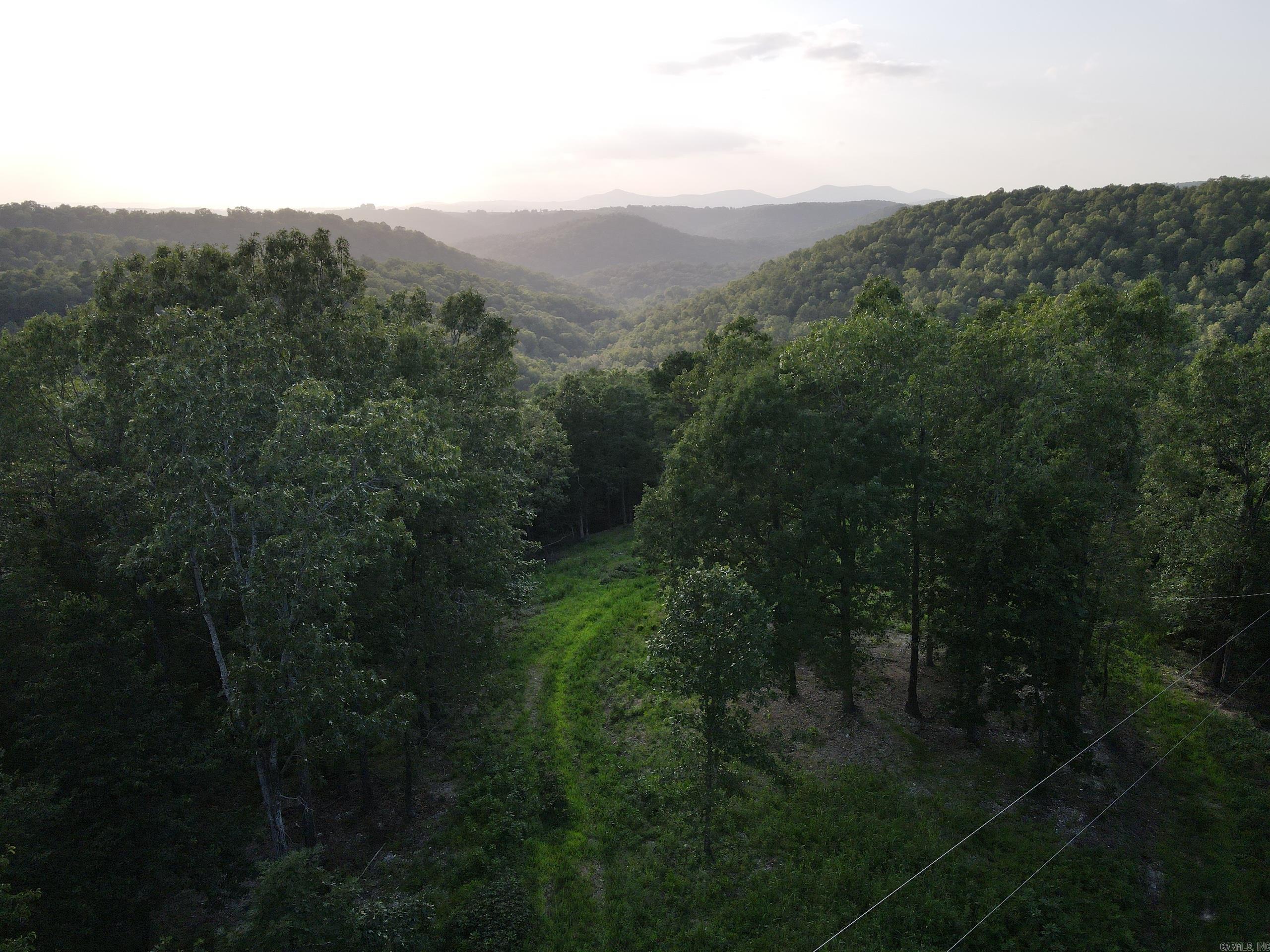 This excellent building tract is loaded with features. An excellent location with close proximity to the Buffalo National River and many other area attractions. Located on a well-maintained gravel county road, the access is comfortable, and a building site is already cleared. This tract boasts electric service on-site, rural water, and some massive mountain vista views that are truly breathtaking. The rolling topography lends itself to privacy, beauty, and excellent hunting opportunities for the resident deer, turkey, black bear, and even occasional hogs. The area is prime and loaded for an investment opportunity for building one or multiple cabins for Airbnb or VRBO, as it is so close to many regional attractions, including but not limited to; hiking, camping, kayaking, canoeing, public hunting, and more! The public access points on the Buffalo River and public hunting on the National Forest areas are just a few short minutes away and offer ample opportunities for that family getaway, hunting camp escape, or rental investment. Woolum, Carver, and Hasty access are all right there, close by. The hardwood (predominately Red Oak) and pine mix on the land create a tranquil place.