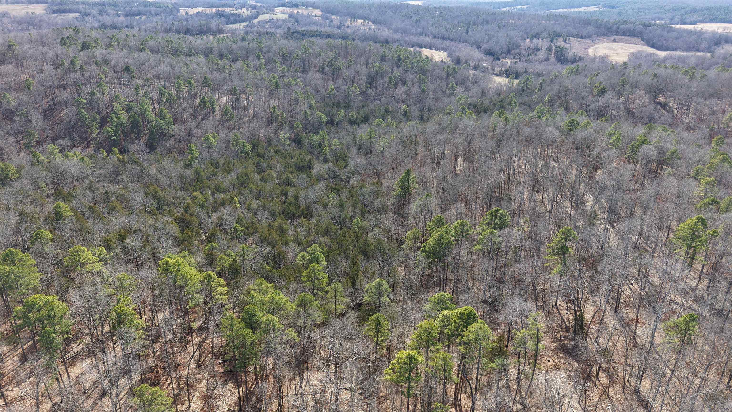 Nestled in the Ozark Mountains of North Central Arkansas, this affordable 120± acre property offers exceptional whitetail deer and turkey hunting, along with endless recreational opportunities. The land features a well developed trail system providing easy access to stand locations, food plot sites, and scenic ridges by foot or ATV. A diverse mix of mature timber, natural cover, and established travel corridors creates an ideal year round wildlife habitat. The terrain also lays beautifully for building, offering several potential sites for a cabin or country home—each tucked back for privacy and stunning Ozark views. The property has an easement road for access and is partially fenced, with no restrictions, giving you the freedom to use the land your way. Whether you’re searching for a private hunting retreat, a weekend getaway, or an affordable investment in the Ozarks, this 120 acre tract checks all the boxes for outdoor lovers. Priced at $239,900.