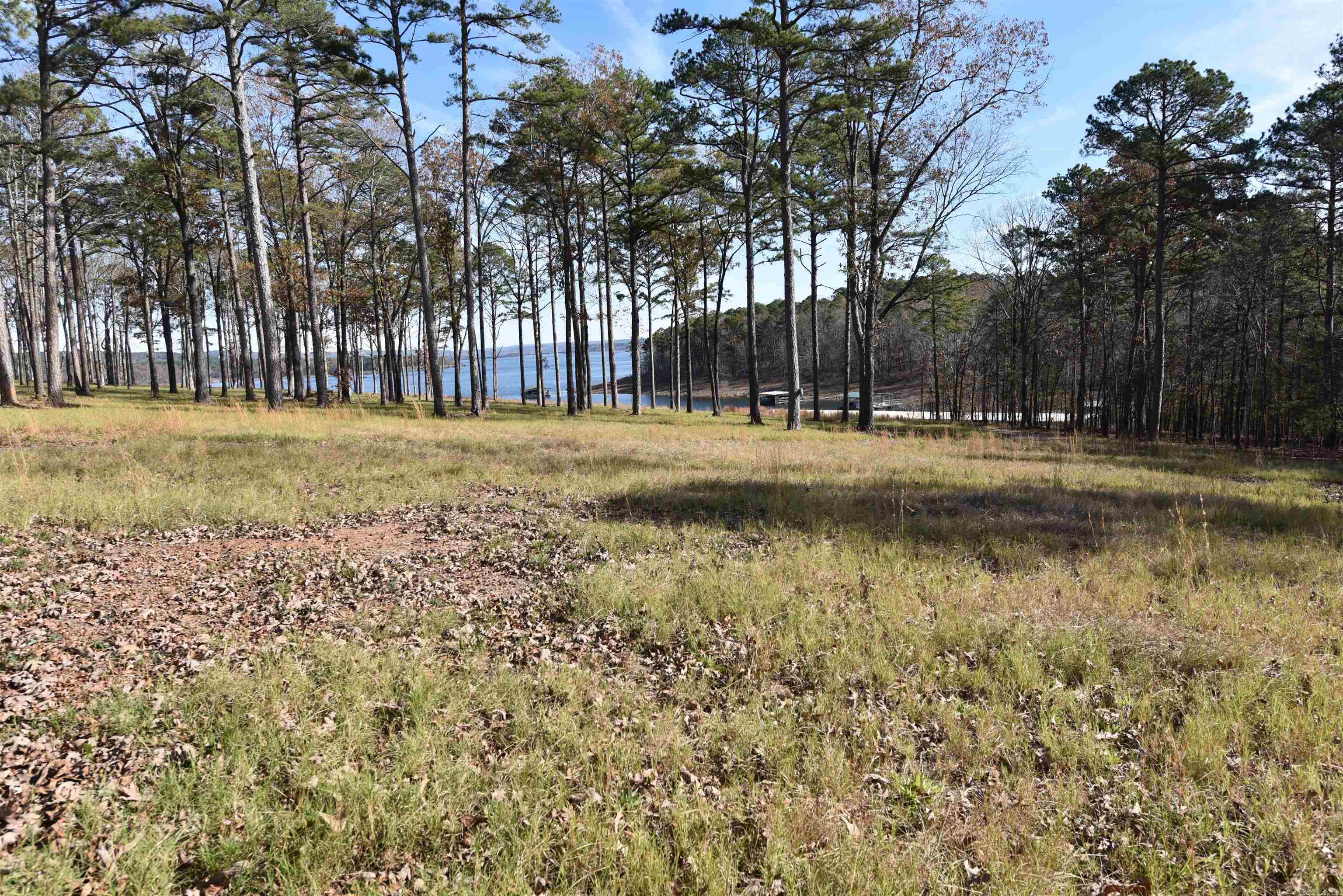 Don’t miss this rare opportunity to own a premium lakeview tract in Sunnyside of the Bay subdivision of Fairfield Bay! A boat slip nearby is available to purchase for $35,000.  Imagine waking each morning to breathtaking water views & enjoying the peace & privacy this unmatched location offers. Perfectly positioned with a low white line to maximize your gorgeous lake views. Underground utilities are available for power & fiber internet.  Enjoy All Fairfield Bay Has to Offer: Championship Golf: Two 18-hole courses just minutes away. Active Lifestyle: Pickleball, tennis courts, and more than 80 miles of ATV/UTV trails. Full-Service Marina, Swim, hike, bike, & so much more. Fairfield Bay truly is a slice of paradise! Build your forever home or a serene getaway in a welcoming, upscale neighborhood. This is your chance to experience lakefront living at its finest—where tranquility & recreation meet luxury and convenience. Paradise is calling.