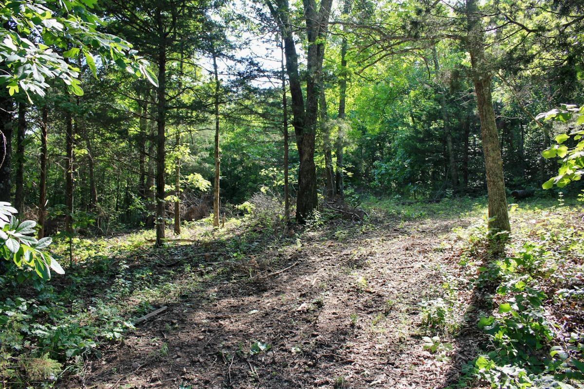 Yellville - Land