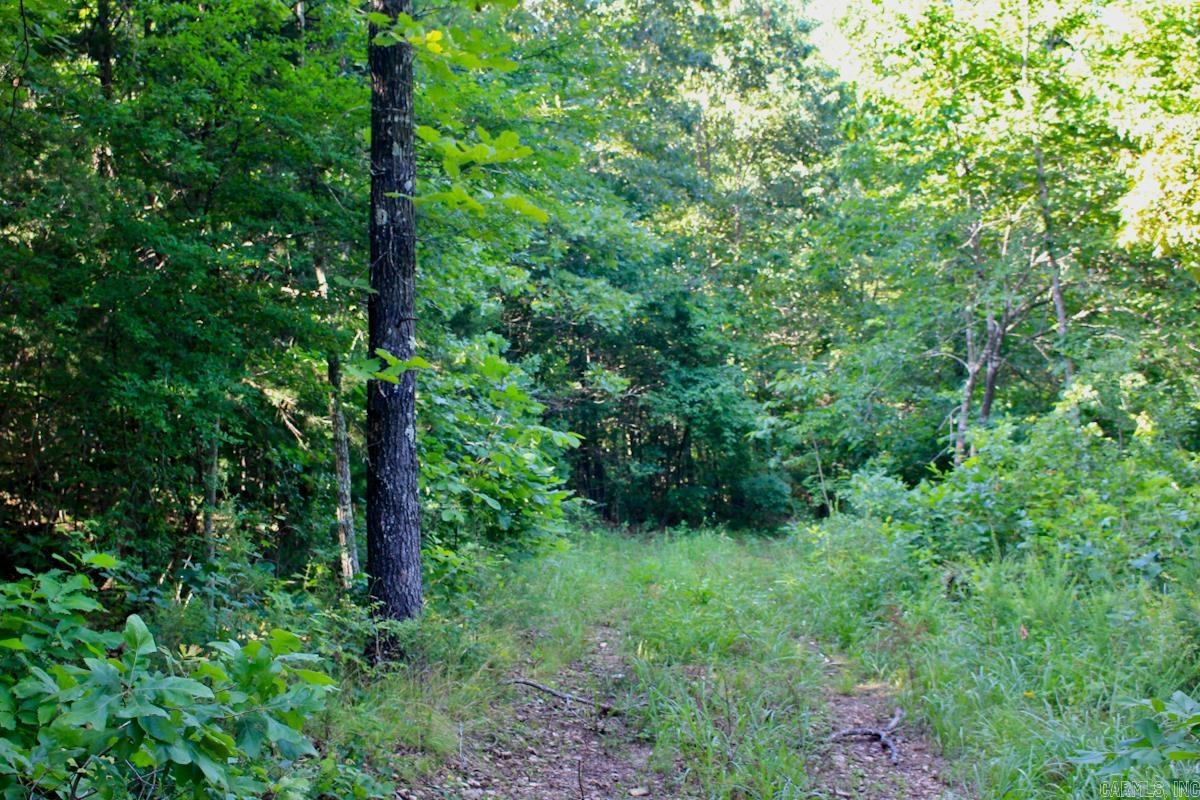 Yellville - Land