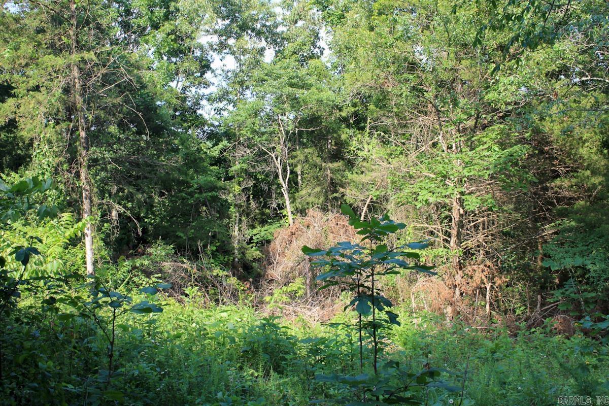 Yellville - Land