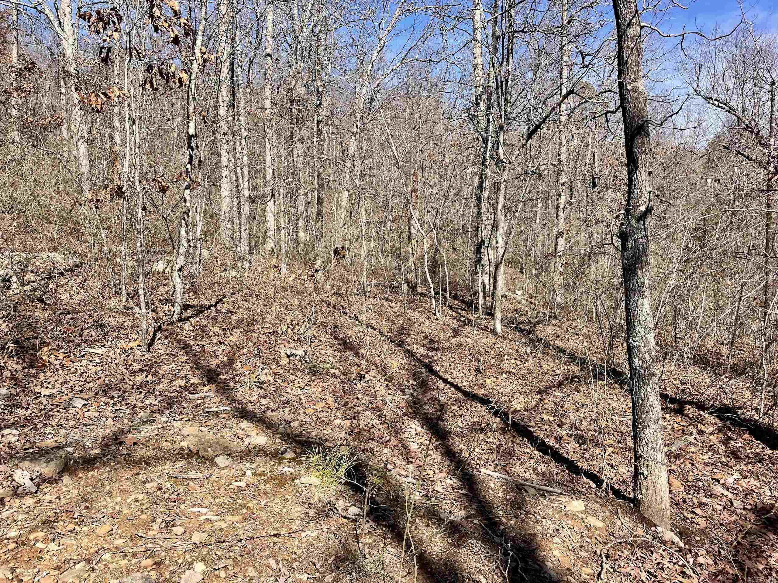 Not in Subdivision - Land