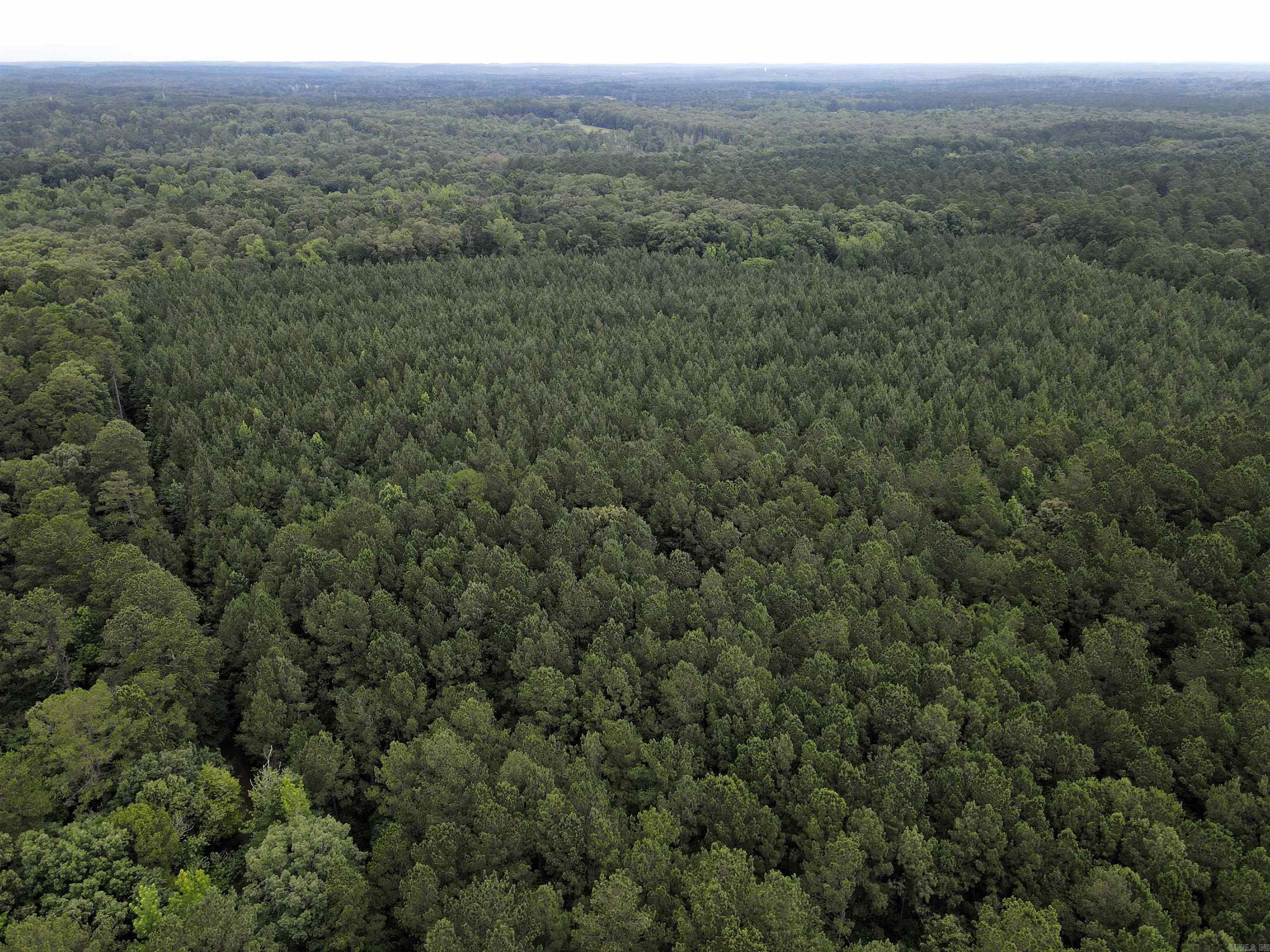 Tucked away behind deeded easement access, this exceptional 40-acre tract offers the privacy, natural beauty, and investment potential that discerning land buyers appreciate. A mature stand of marketable pine with mixed hardwood timber creates a diverse landscape with lasting value, while providing outstanding habitat for whitetail deer and wild turkey. The property’s mostly level topography makes it easy to enjoy and lends itself to a variety of future uses, whether you envision a secluded cabin, a carefully managed hunting property, or a long-term timber investment. A small pond enhances the landscape and provides a dependable water source for wildlife, further strengthening the property’s recreational appeal.  Conveniently located just minutes from Malvern and a short drive south from Benton, this tract offers a rare balance of seclusion and accessibility. Properties of this size and quality are becoming increasingly difficult to find, making this an exceptional opportunity to own a versatile piece of Arkansas land with both immediate enjoyment and enduring value.