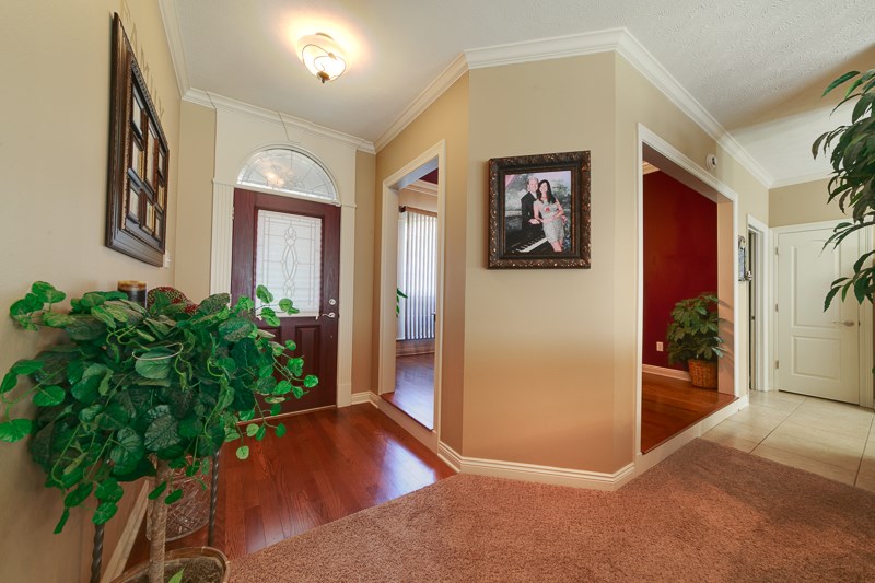 BERRYPATCH ADDITION - Residential