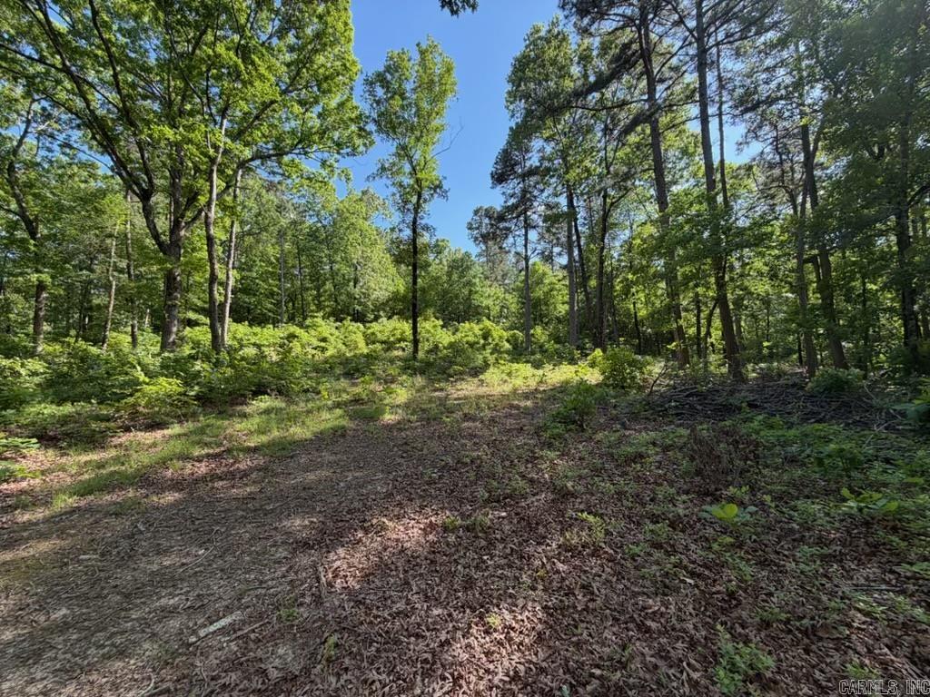 Looking for an amazing place to build your forever home? Look no further! This 4.5 acre tract already has a cleared spot in the wooded glen on Earnie Woods Rd just outside of Rose Bud! Seclusion, Privacy and tons of wildlife! Come check it out!