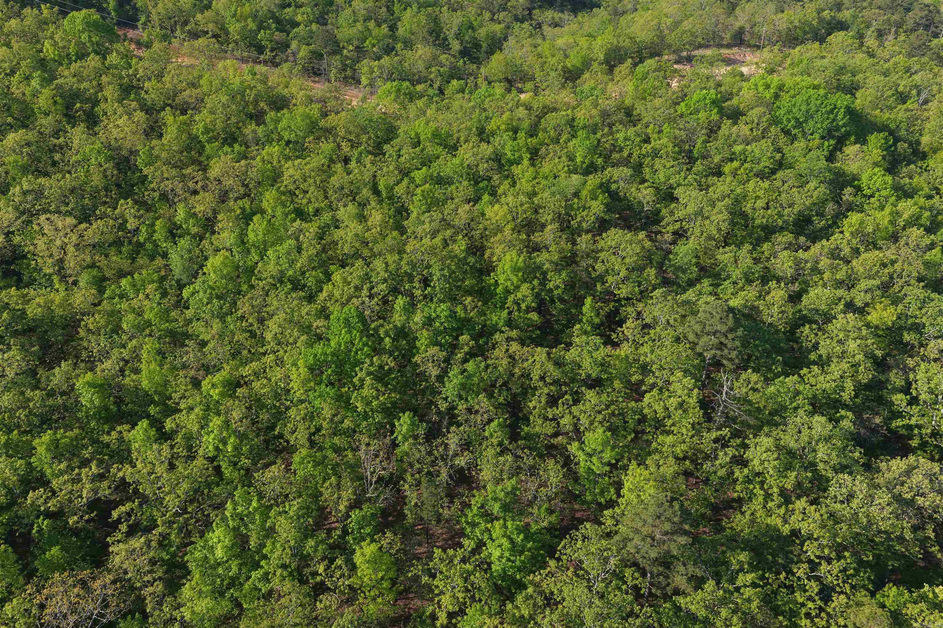 7 LAKES RANCH ESTATES PHASE 1 - Land