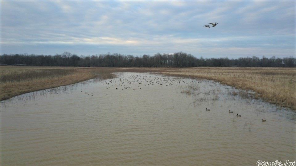 Not in Subdivision - Land