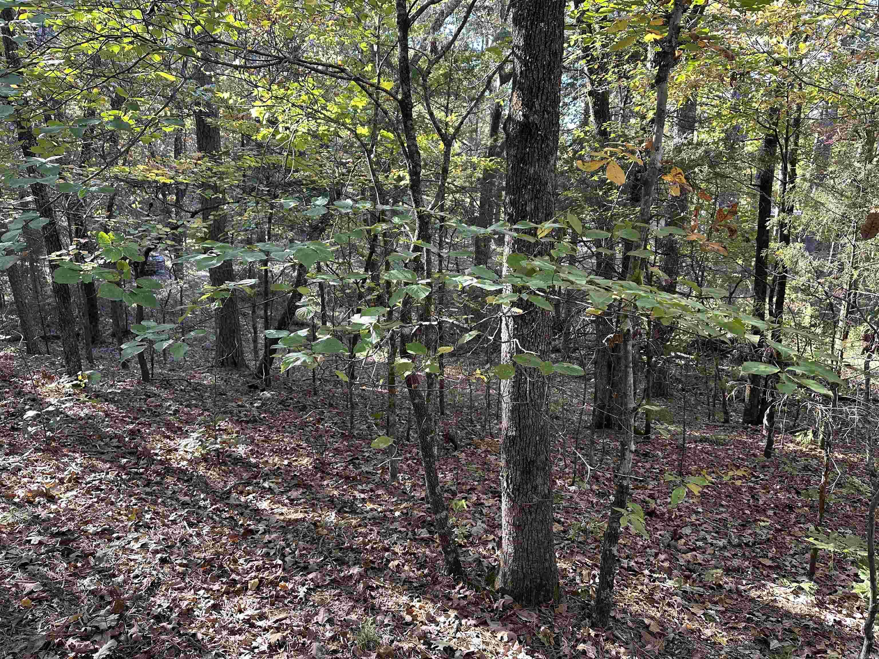 Nunley - Land