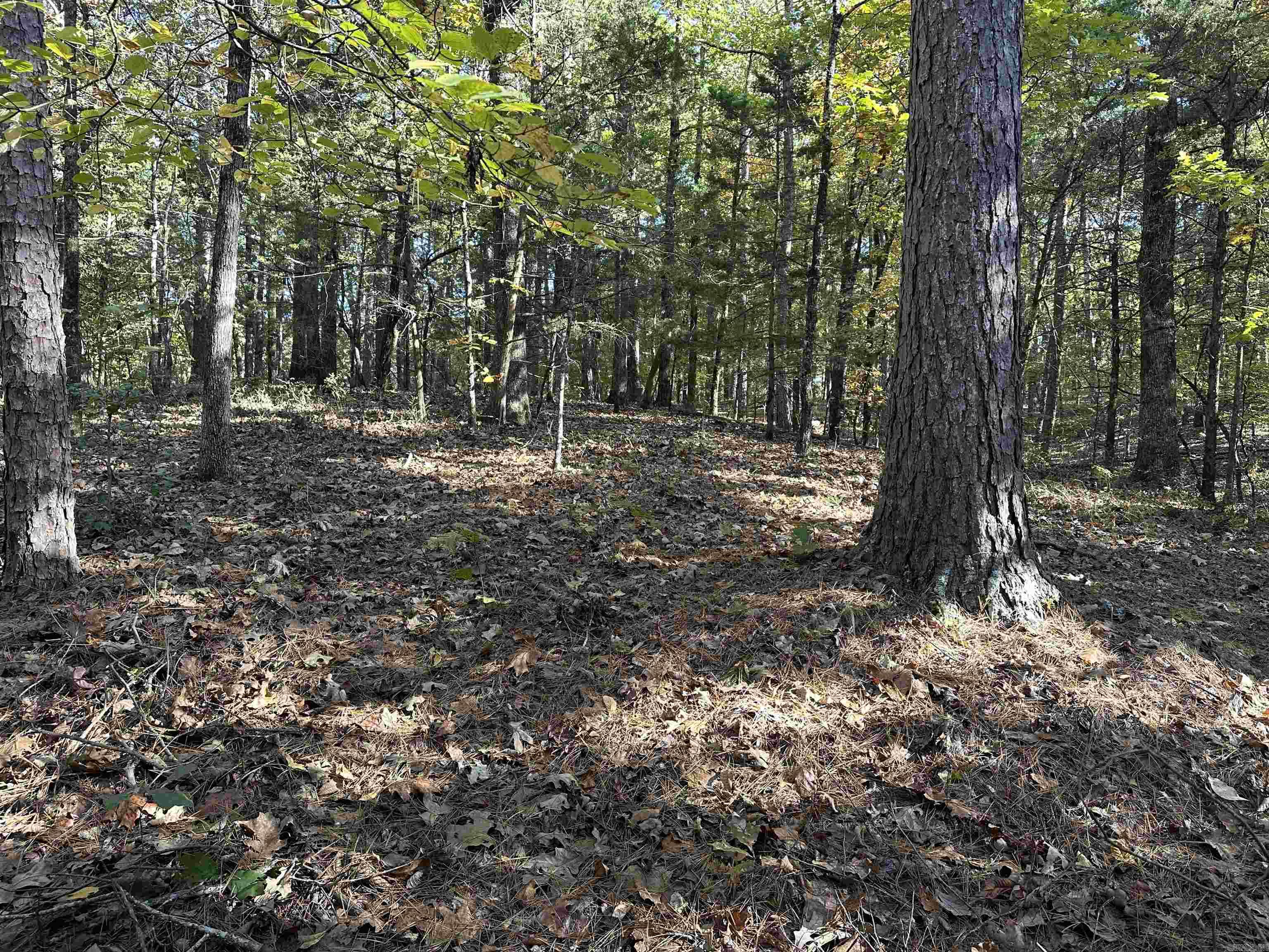 Nunley - Land