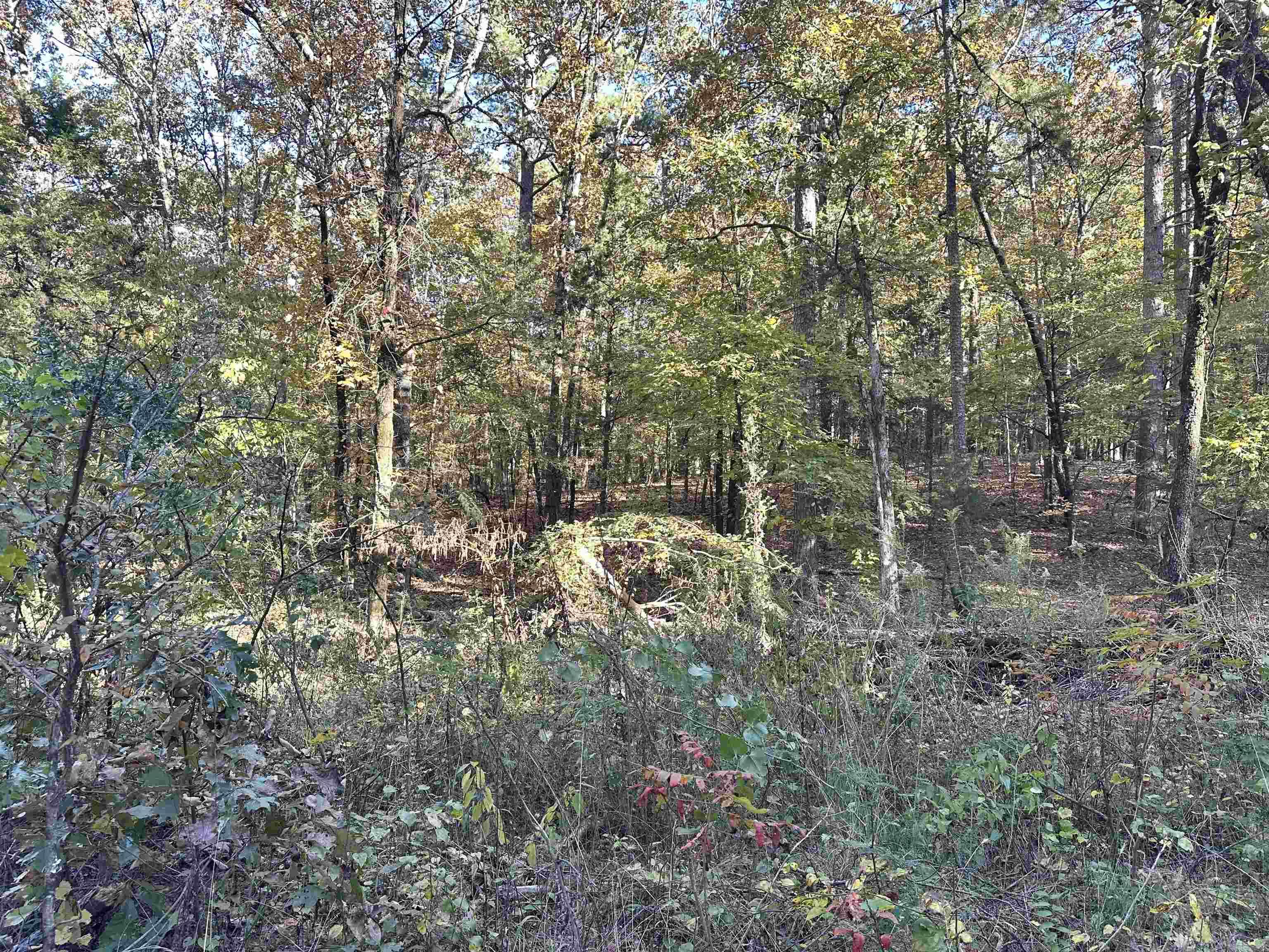 Nunley - Land