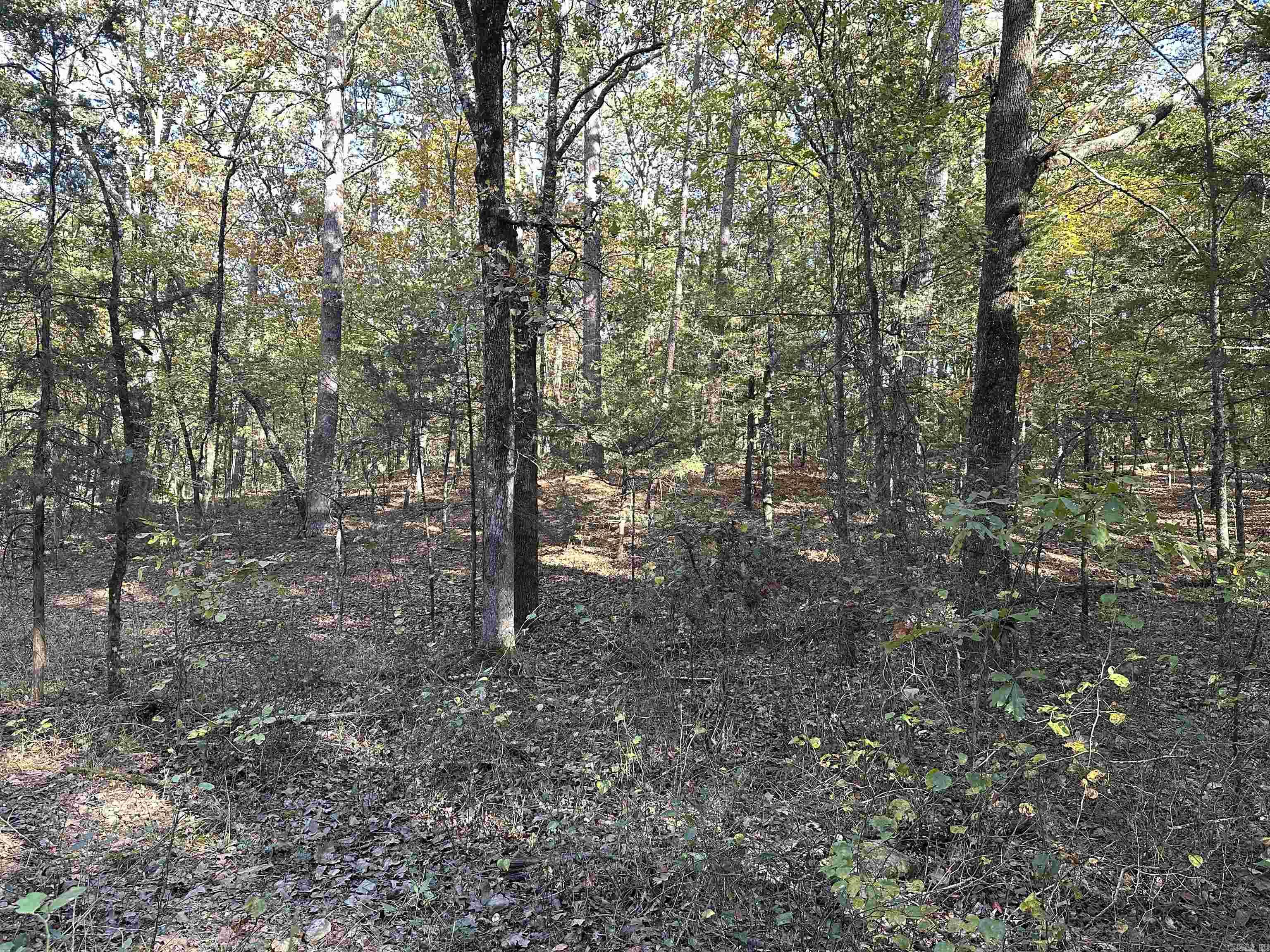 Nunley - Land