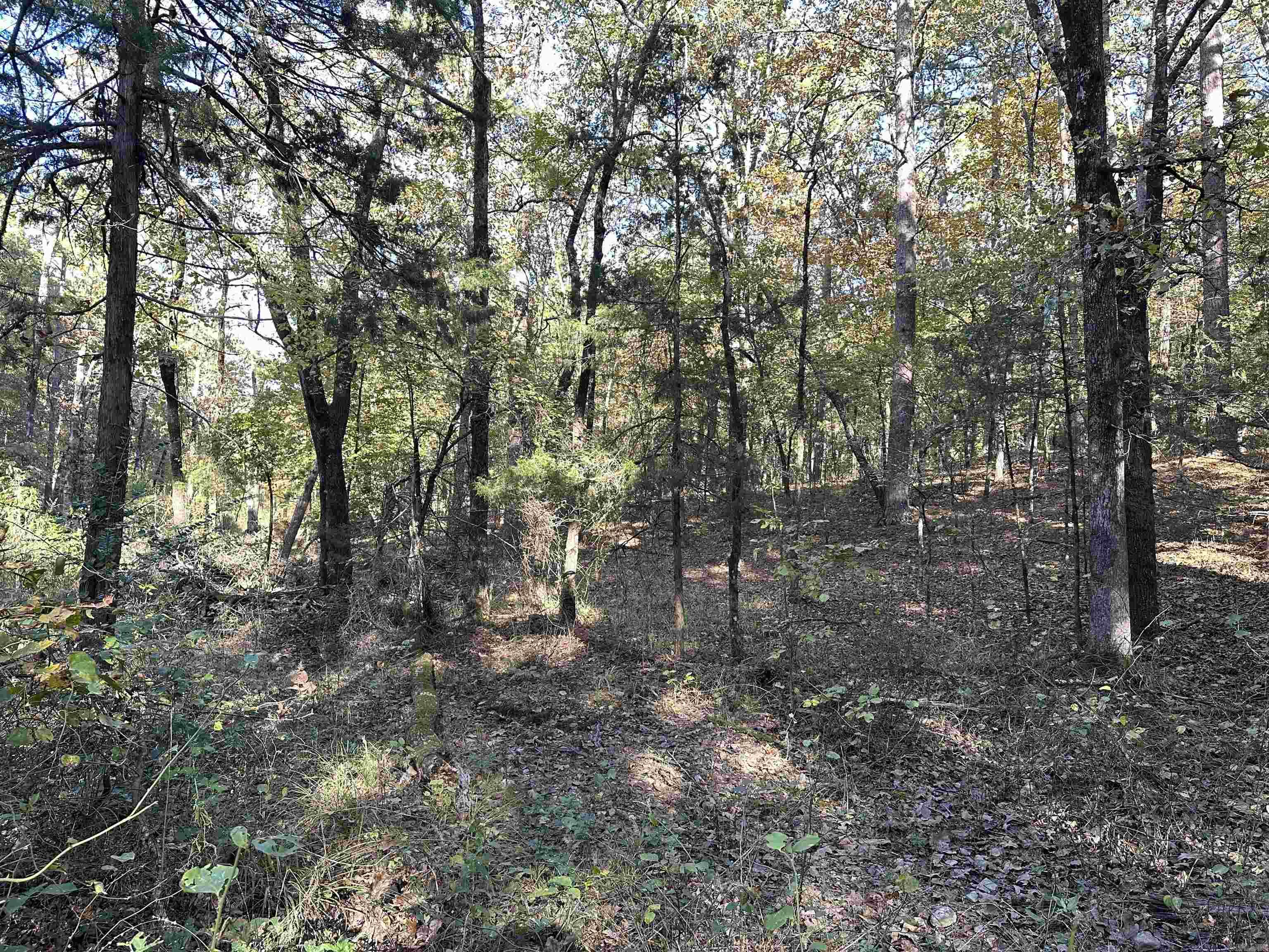 Nunley - Land