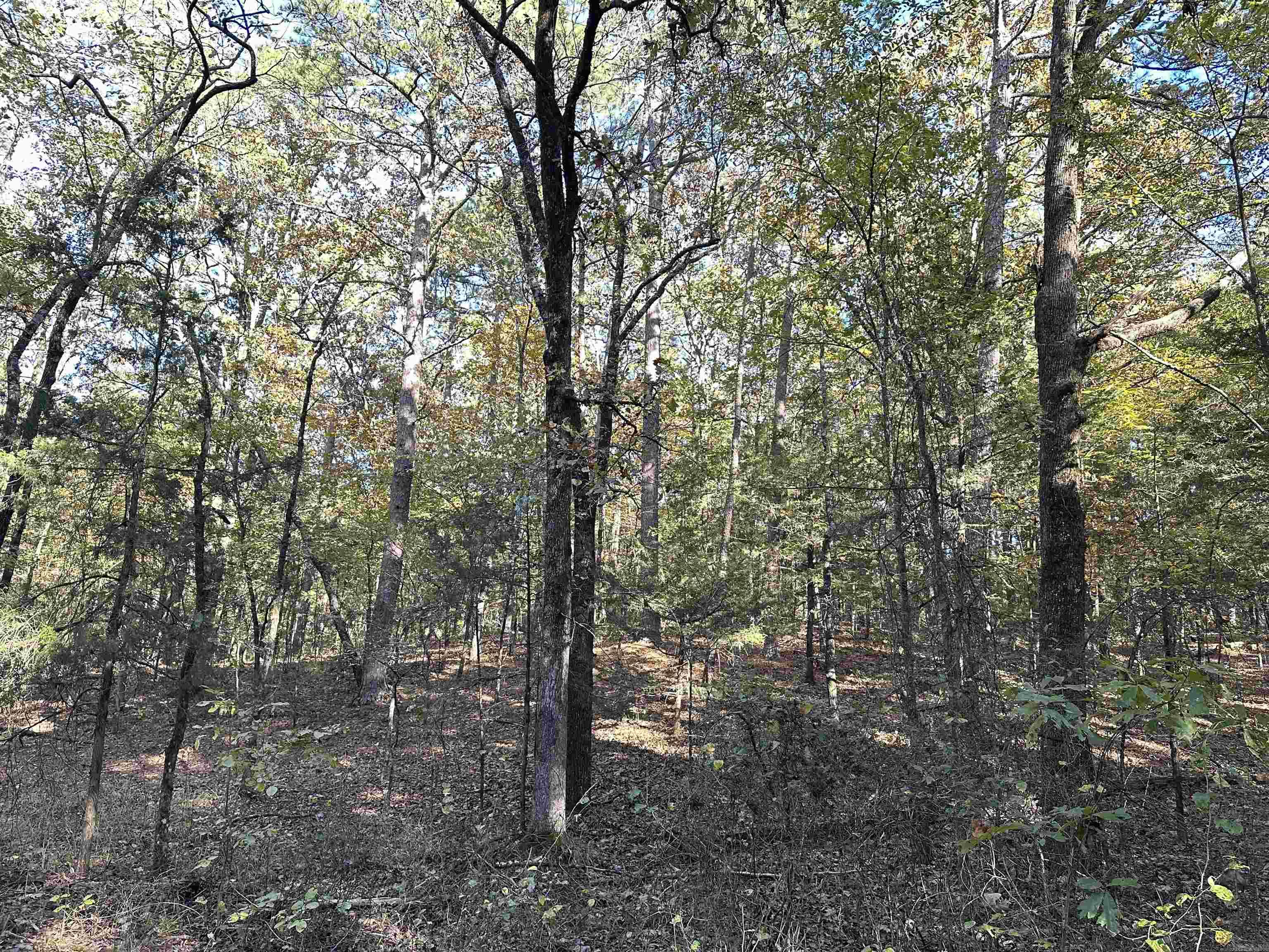 Nunley - Land