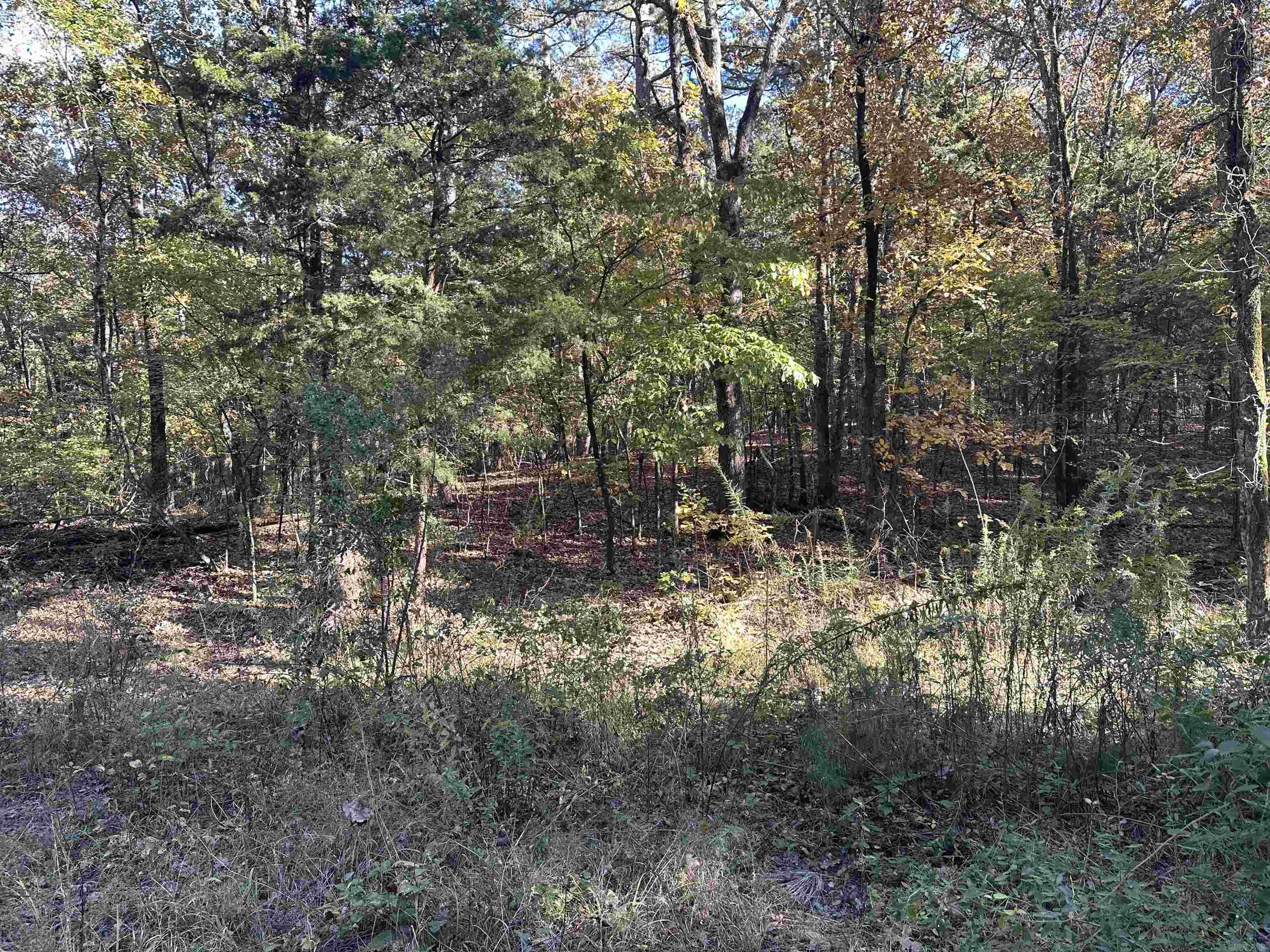 Nunley - Land
