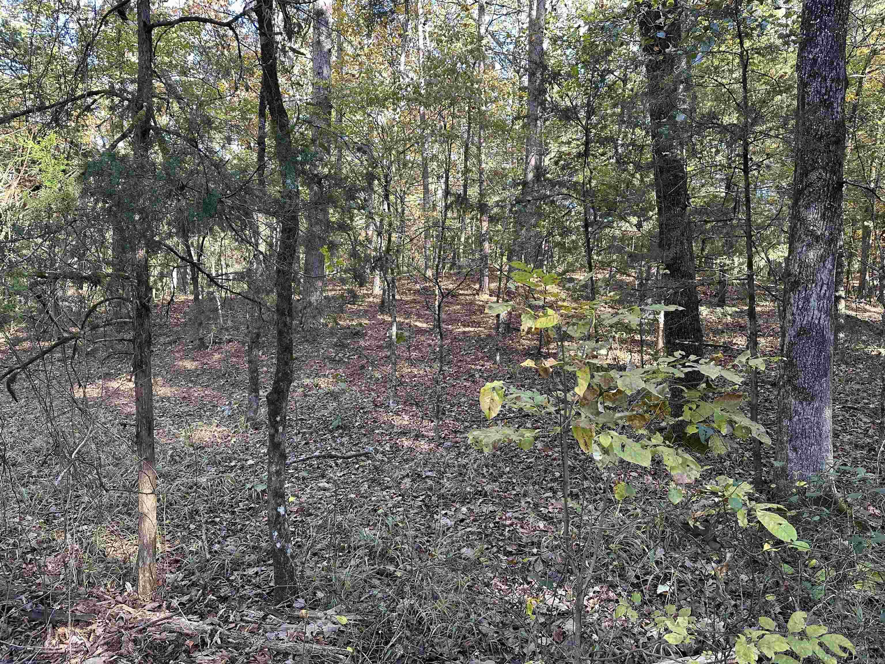 Nunley - Land