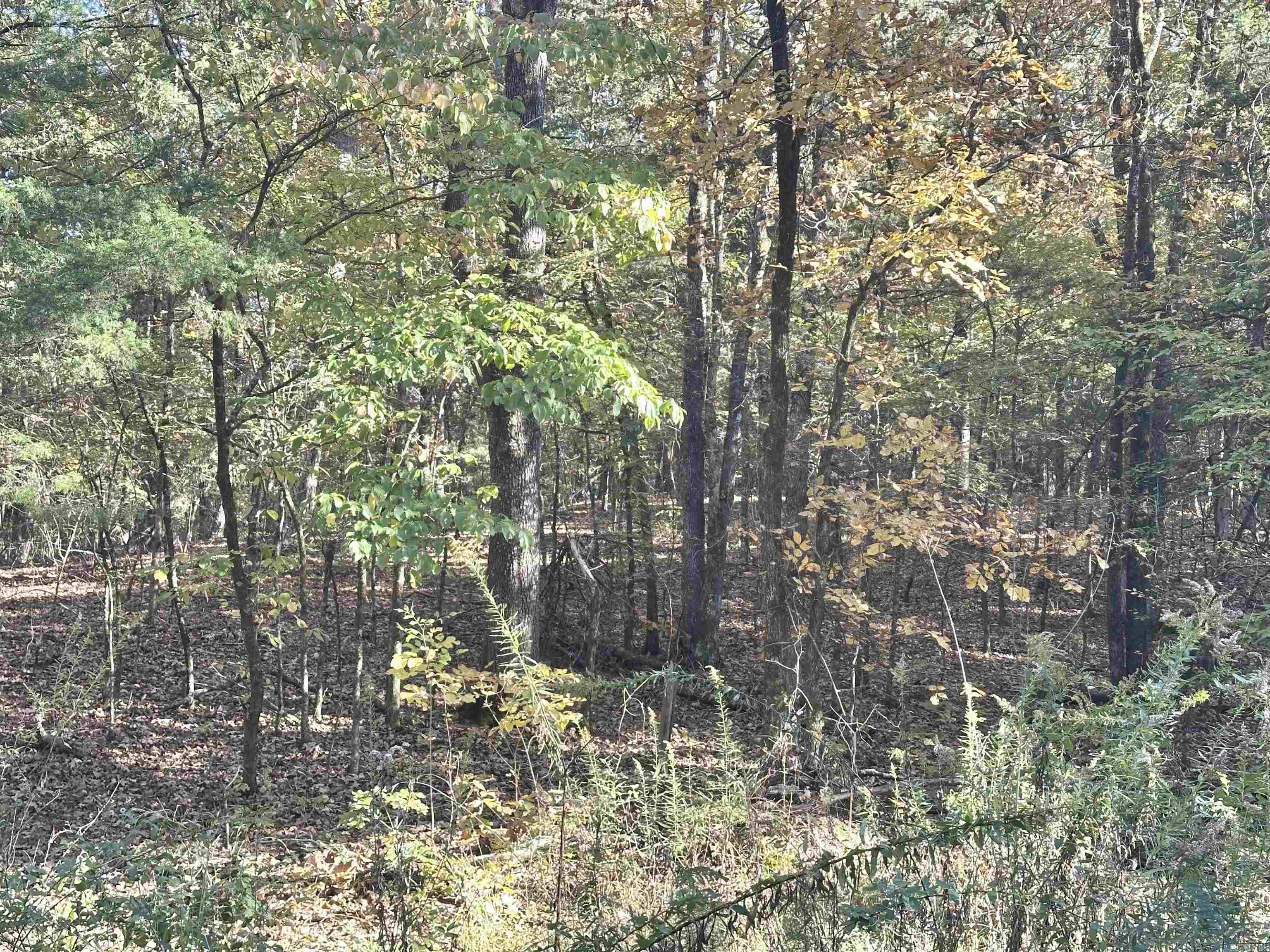 Nunley - Land