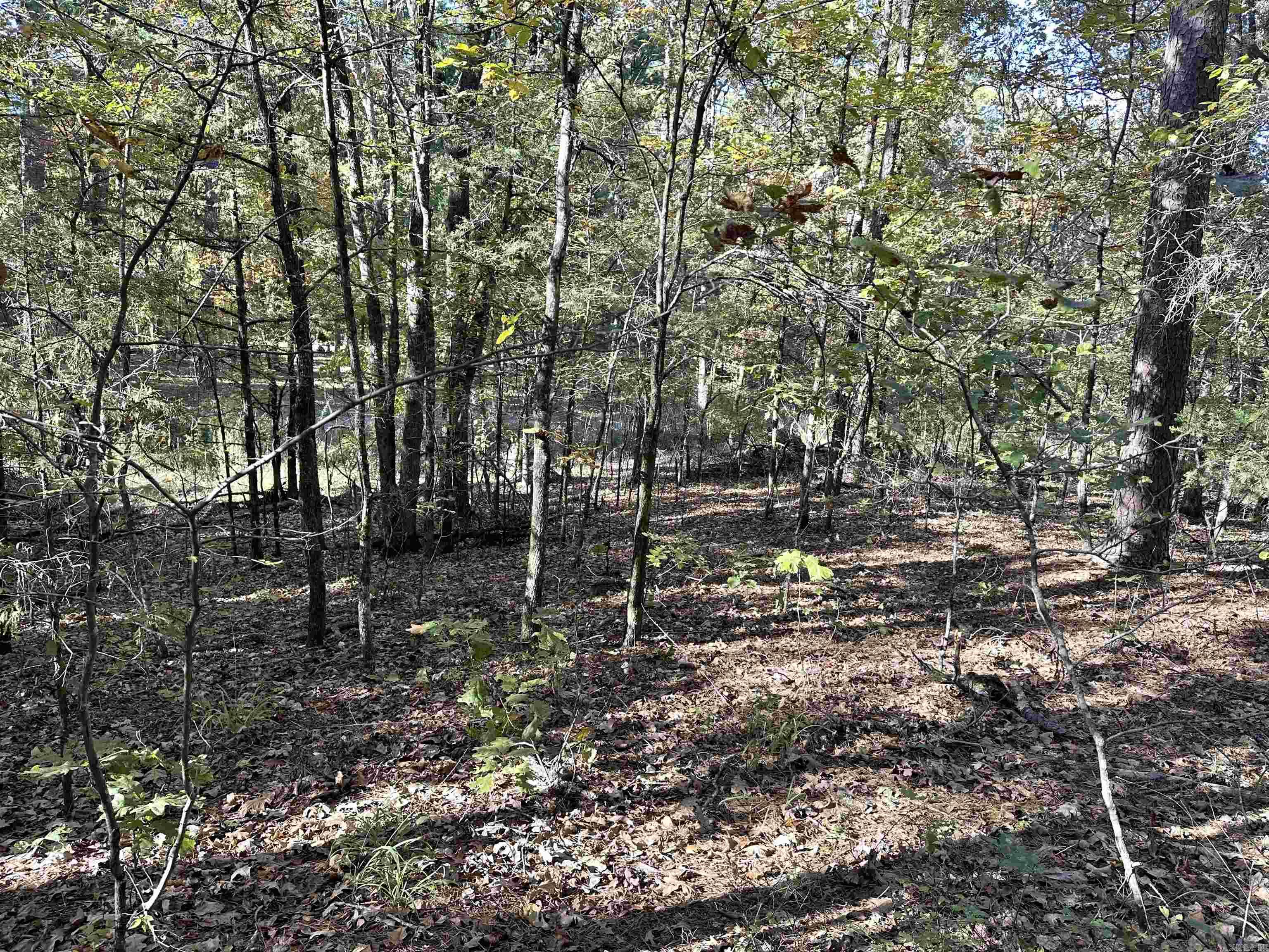 Nunley - Land
