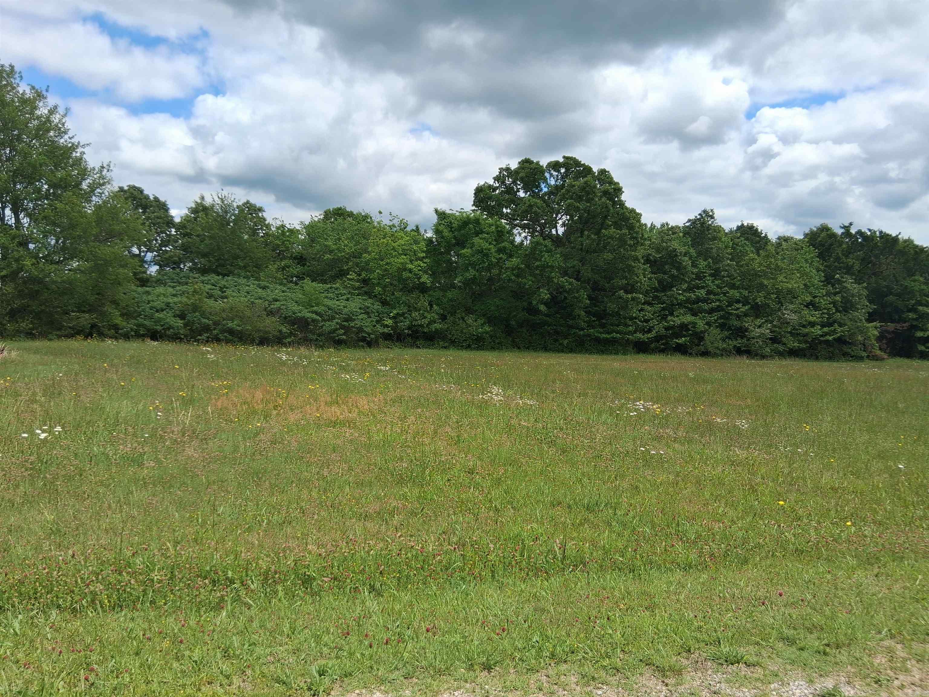 Commercial property in a prime area of Mountain View, AR.  Close to doctor's offices, Mountain View schools, Ozarka College and hospital.  So many opportunities to build your office building or other commercial business.  Property has electricity and city water available.  Storage building.  Property lays well and ready to build on.