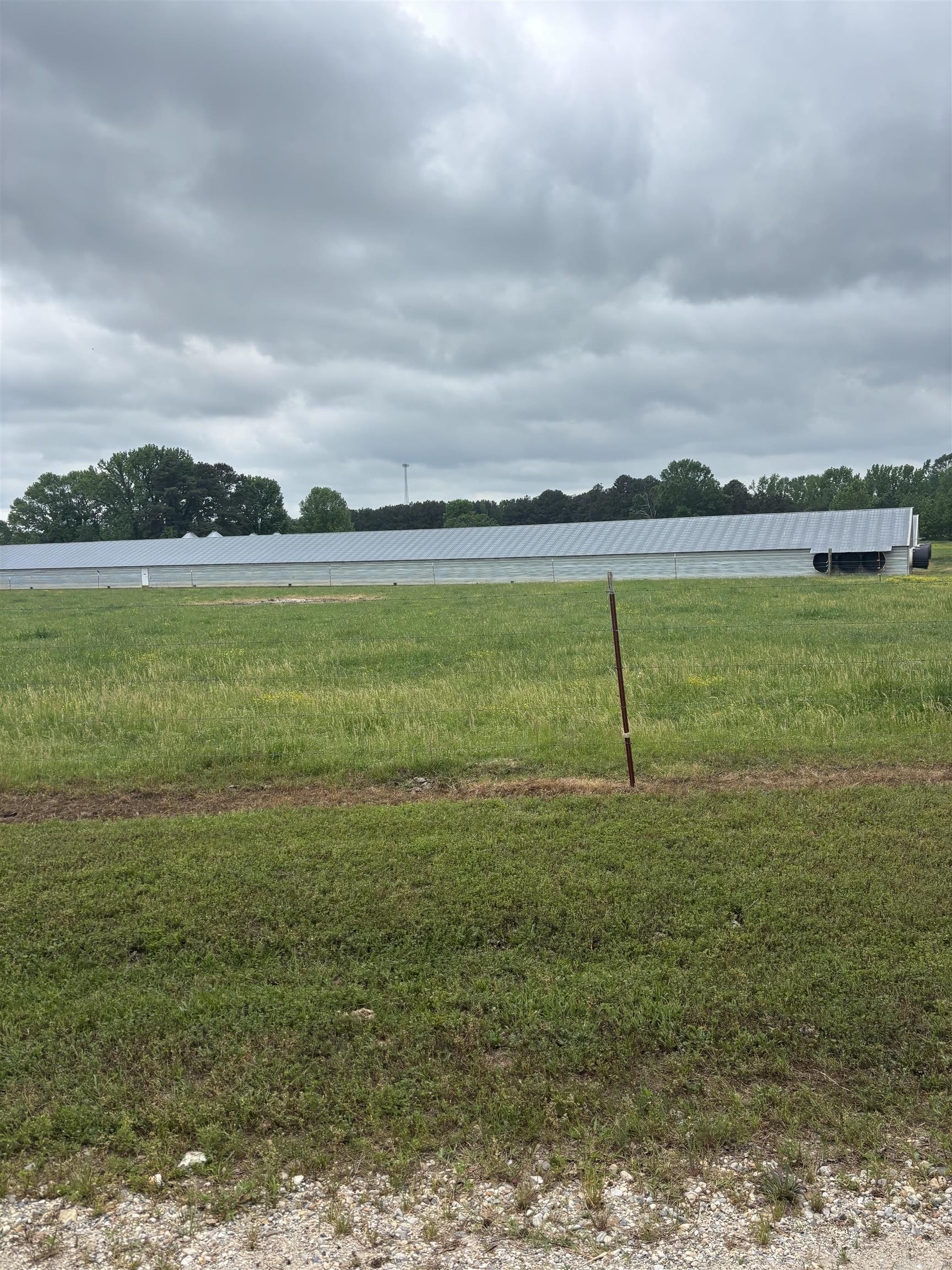 Property located in McCaskill, offer (2) 43x500 poultry houses built in 2016 situated on approx 32 acres, includes a brick home, with approx 1,326 sq ft of living space, 2 bedrooms and 1 bath.  Property offers a pond, well maintained poultry houses that use rural water and well water, propane gas, 40x54 barn, generator, and 40x56 stacking shed.  Home is immaculate and move in ready, large living room, spacious kitchen, large laundry room and sun room.  Property also offers a craft shed, small she-shed, 30x40 shop building on a concrete slab with water and electricity, fiber optic internet service as well.  For more details or to schedule a private showing, contact our office.