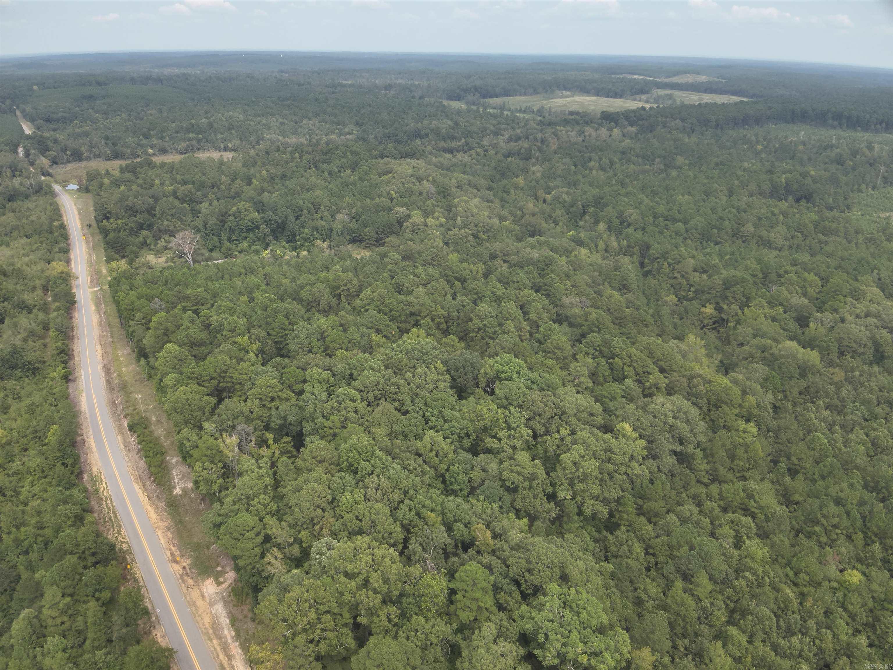 The ‘Good Hope 95’ (#03019-004081) is a ±94.8-acre tract located in the west-central part of Ouachita County about 4-½ miles south of Chidester.  Looking for a great timberland and hunting investment?  Look no further!  The property has excellent access from state highway #57, which provides over ¼ mile of frontage.  Along the highway is an old home site which would make a great home or camp site!  Bragg Mill Creek flows across the north end of the property along which is a mature stand of hardwood timber.  The property has a mixture of mature pine and hardwood that not only is great deer and turkey habitat but also provides immediate income potential!  A timber inventory is available upon request.  Want more?!...this property backs up to a small portion of the Poison Springs State Forest adding additional outdoor recreational opportunities!  Still want more?...This property is only 2-1/2 miles from the boat ramps on Upper and Lower White Oak Lakes!  Don’t miss out on this timberland and hunting investment opportunity!