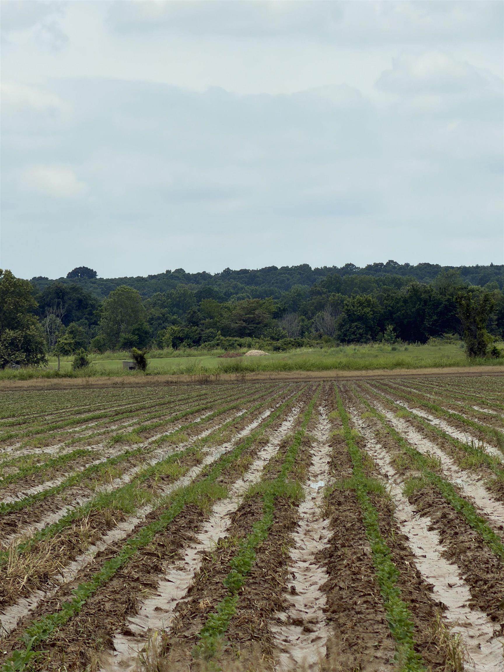 Not in Subdivision - Farm
