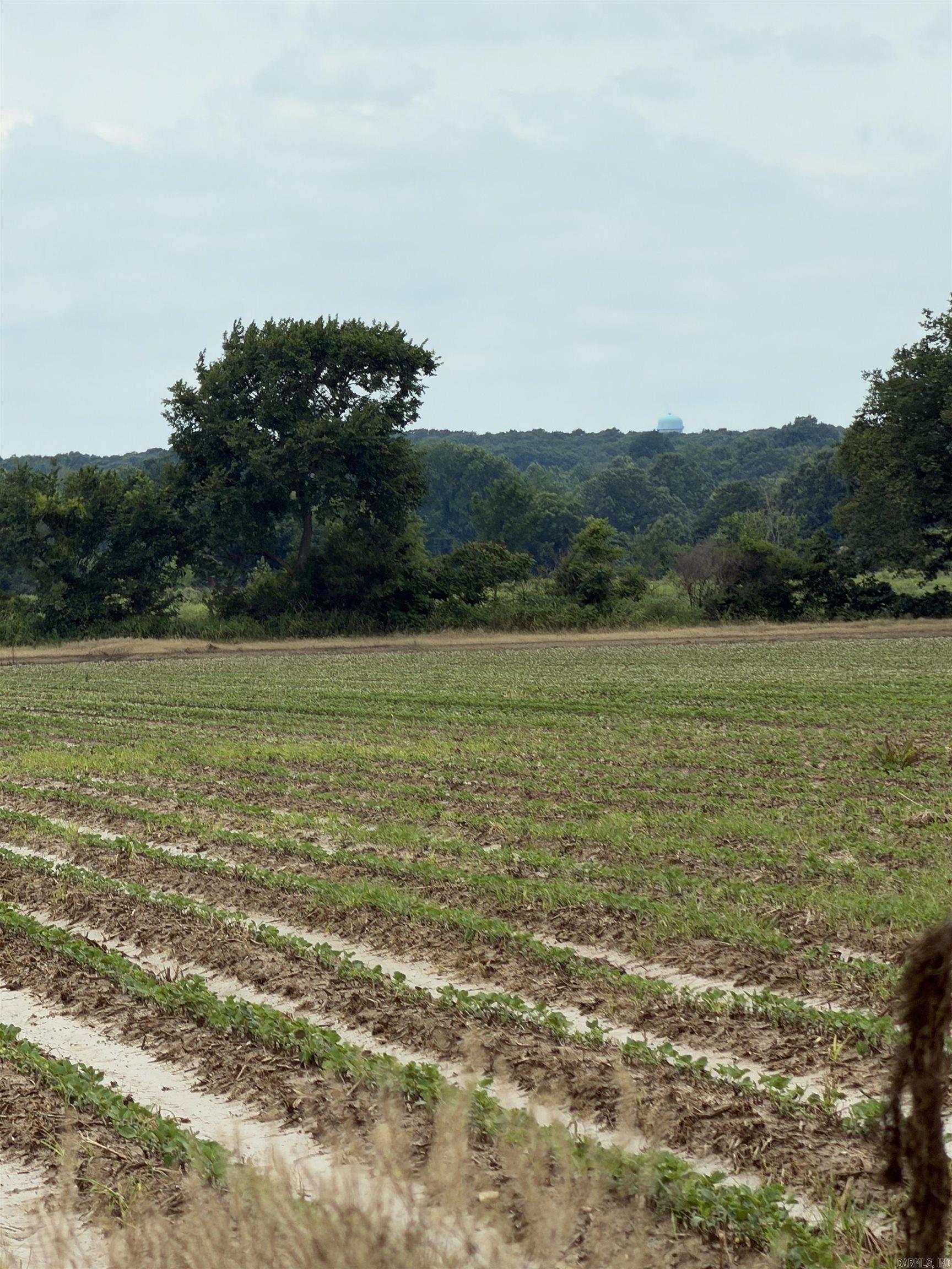 Not in Subdivision - Farm
