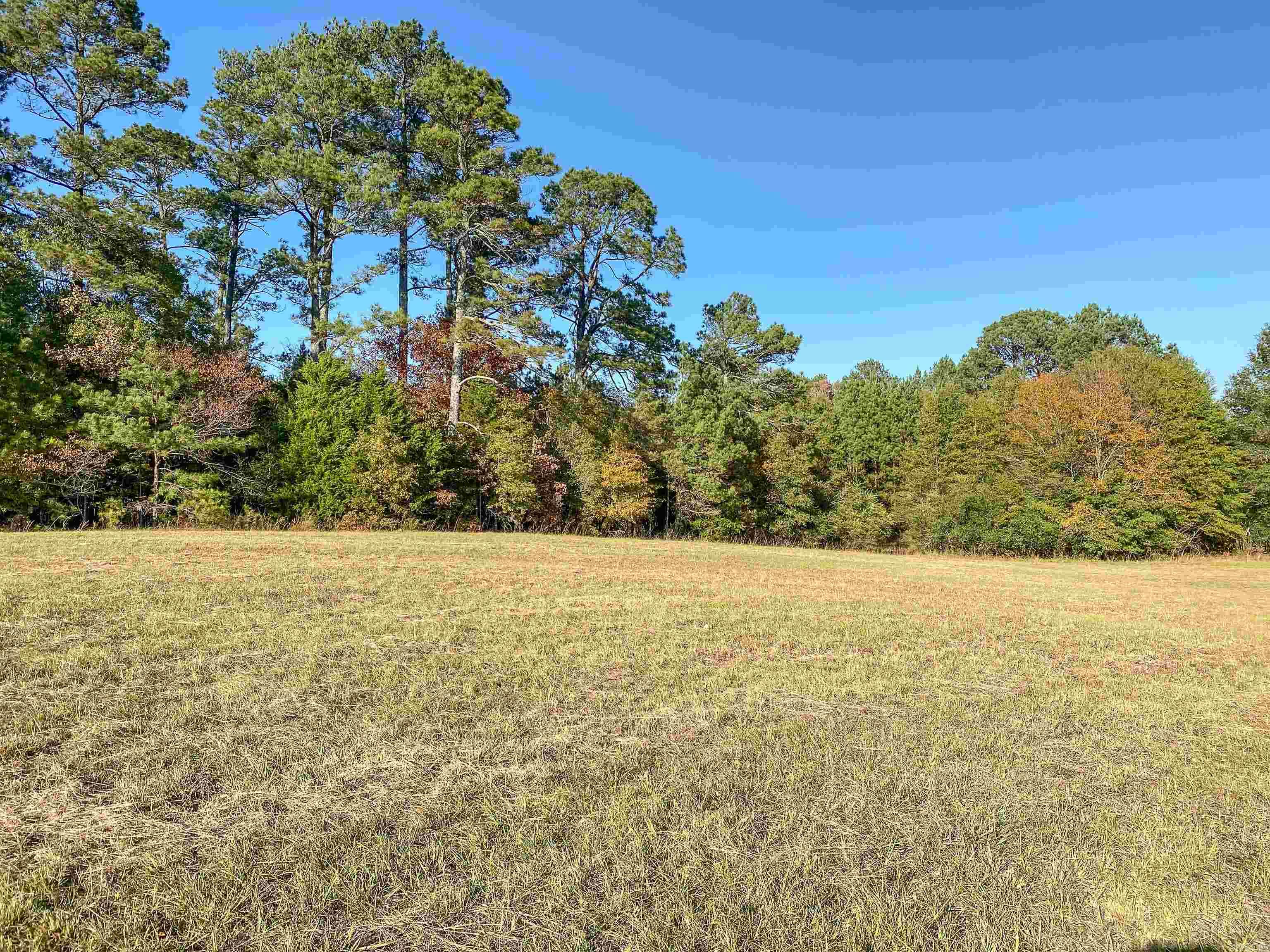 Enjoy the beauty of country living on this scenic 8.9-acre property. The gently rolling land rises to an upper portion that would make an ideal homesite, offering peaceful panoramic mountain views while overlooking the picturesque pond below. The pond adds charm and character to the landscape, creating a tranquil setting surrounded by open space and natural beauty. With plenty of room to spread out and enjoy the outdoors, this property offers both privacy and a serene atmosphere. Conveniently located near Lake Hamilton School—one of Hot Springs’ most desirable school districts—this is a wonderful opportunity to build your dream home in a peaceful yet accessible location.