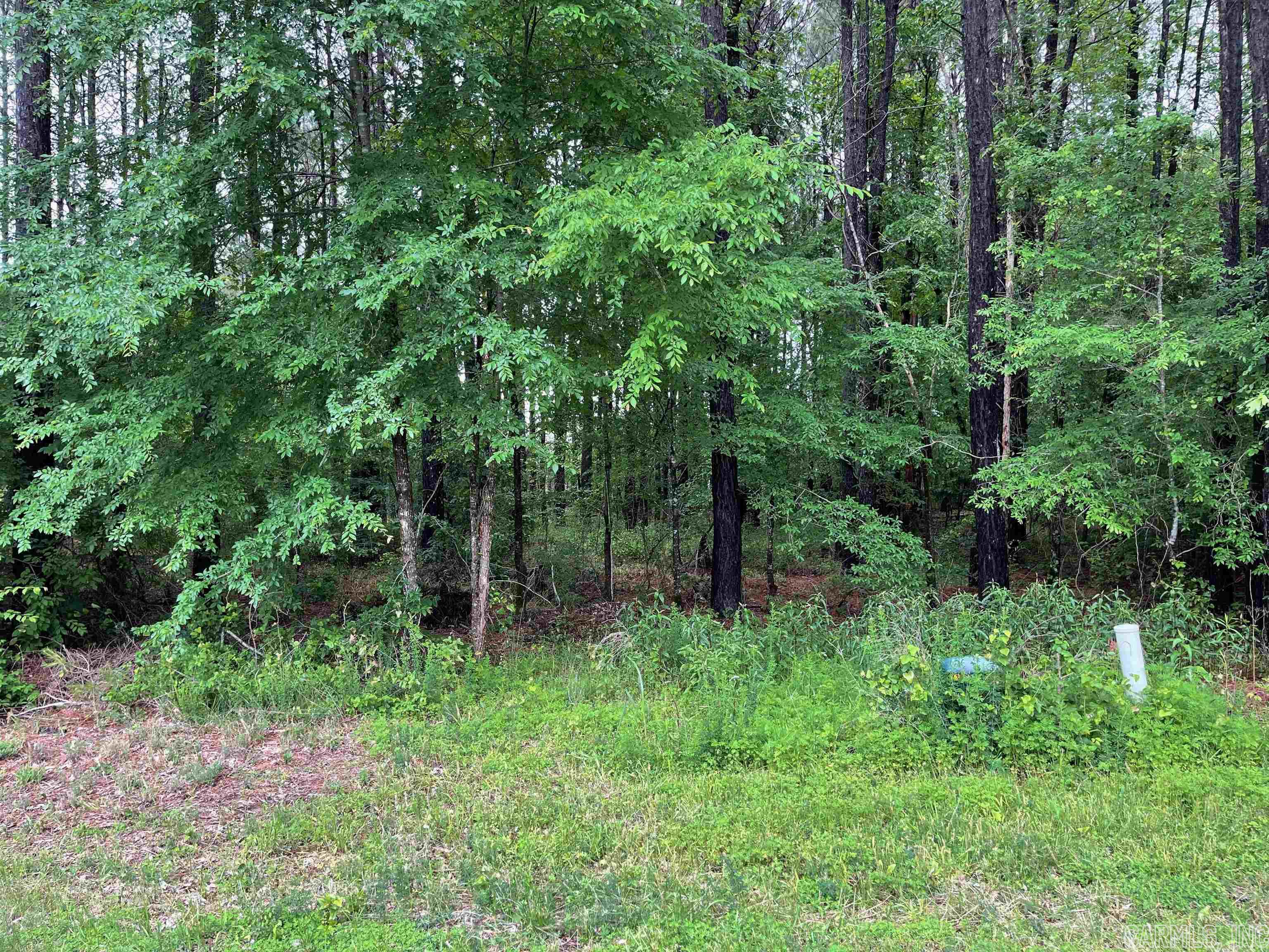 Ready for your new home, minutes to Lake Balboa,