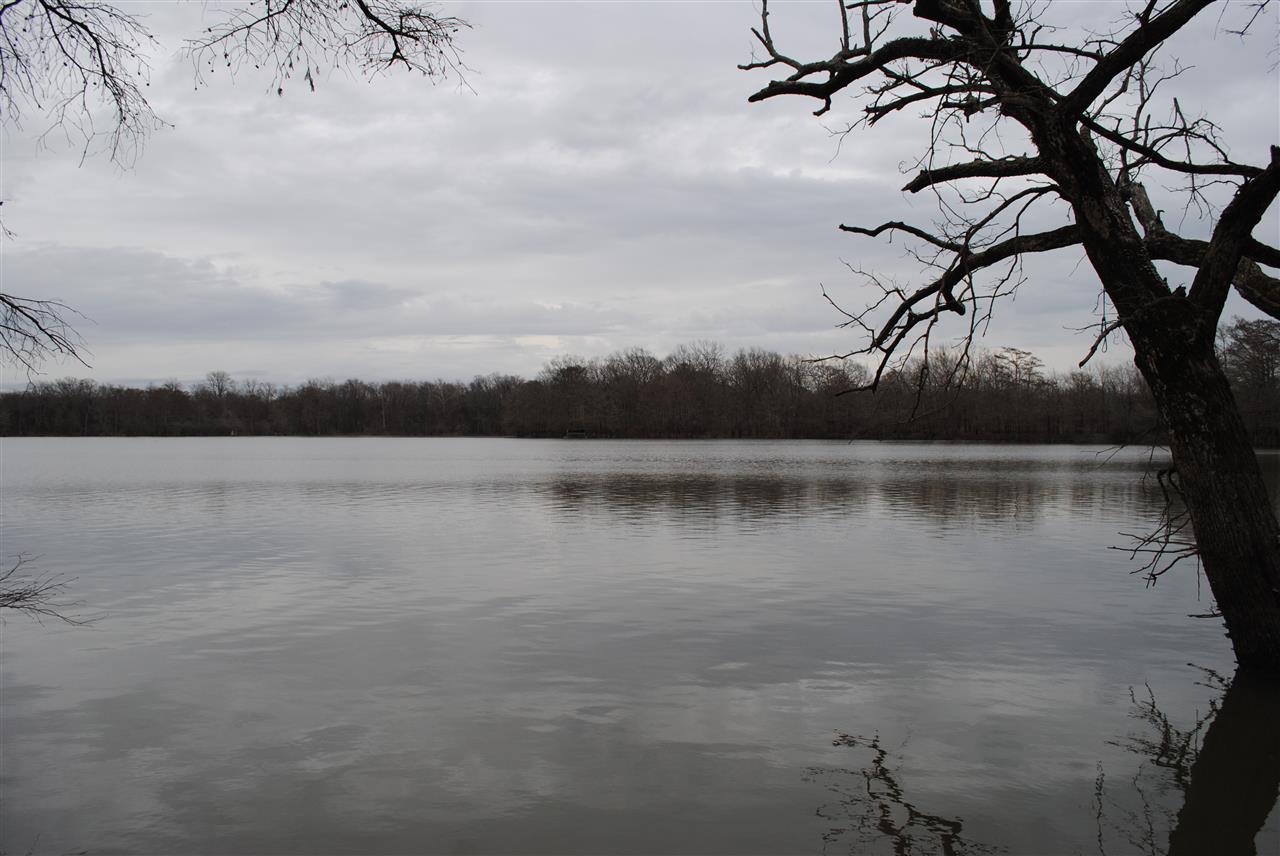 Round Lake is a sportsman's paradise located on the White River just 2 miles south of Des Arc. The 597 acres has been developed for world class deer and duck hunting. Round Lake is the landmark of the farm the 40 acre reservoir provides year round fishing and waterfowl hunting in the fall and winter. It has a gravel boat ramp. There are 5 moist soil units that can be flooded each year. Numerous blinds throughout the property. Most of property is in WRP. Great camp area and dove field. 8 in. well on property