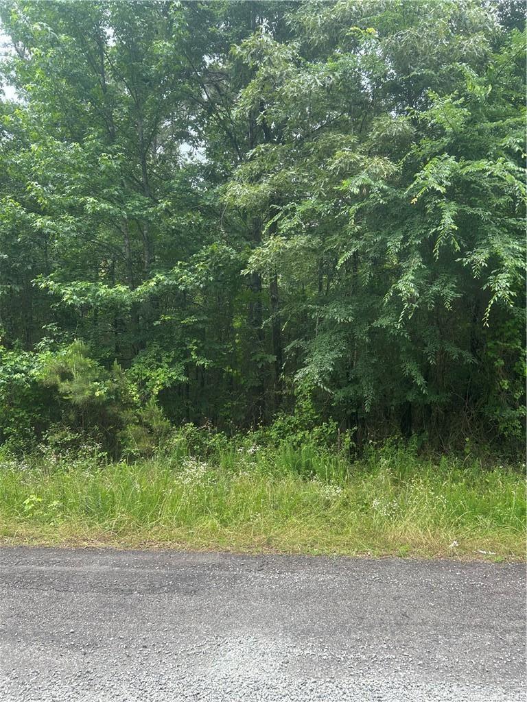 Build your dream home and never see your neighbors! Can be purchased with an additional 3 acres across the road to the south.