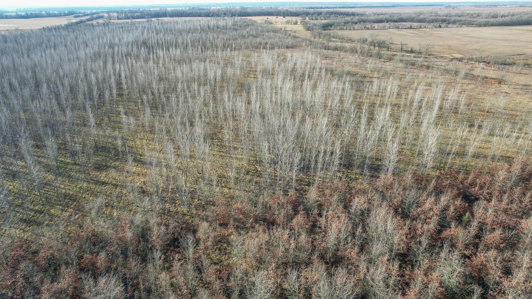 This wooded hunting property is completely wooded and located close to the Red River. The property is completely wooded and has a large majority of the acres planted in hardwoods. Already a good deer and hog hunting place, but has a ton of potential to be developed into a great duck hunting property. This is a great hunting place in a very desirable area. Don’t hesitate, call today.