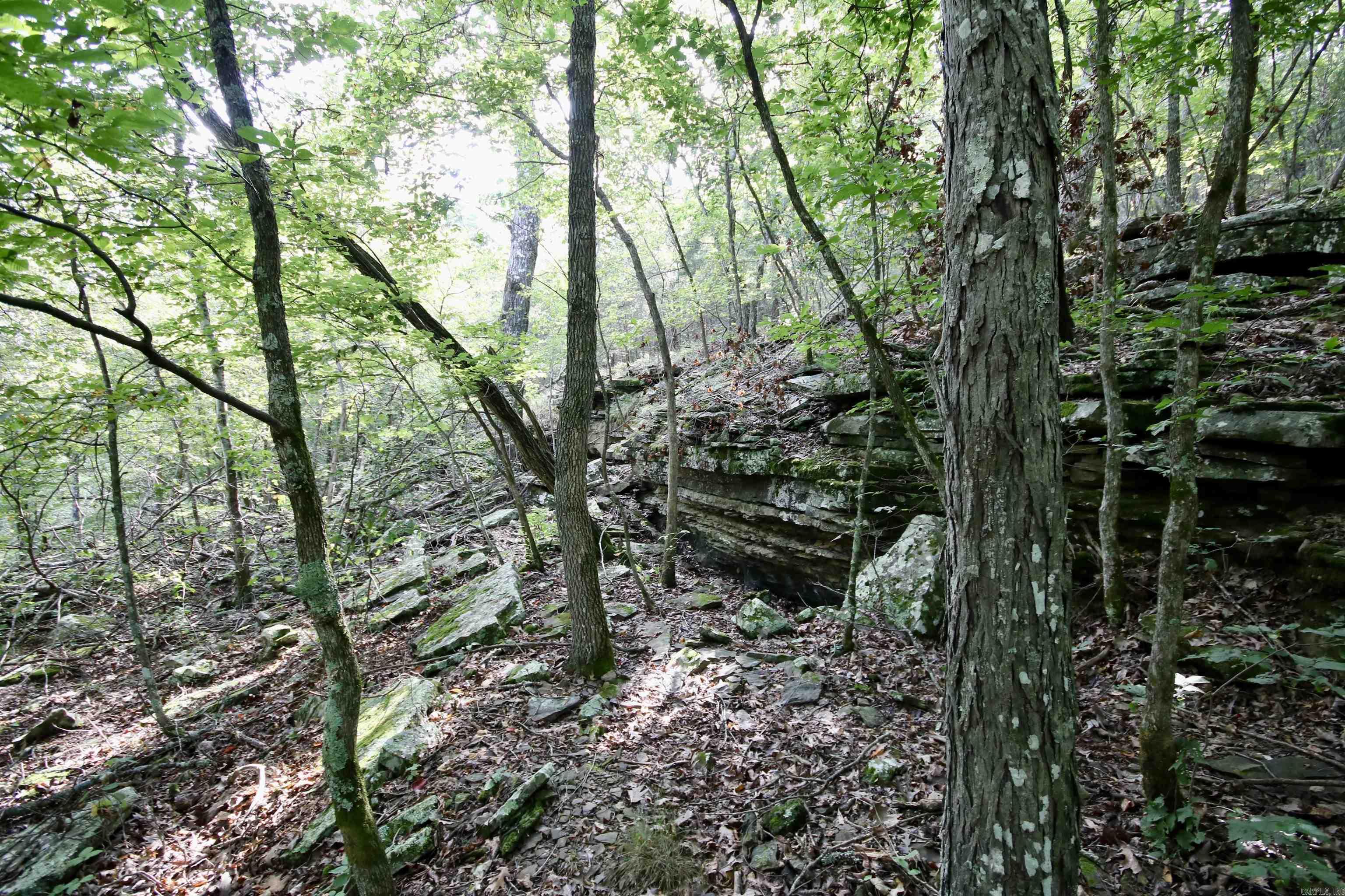 Not in Subdivision - Land