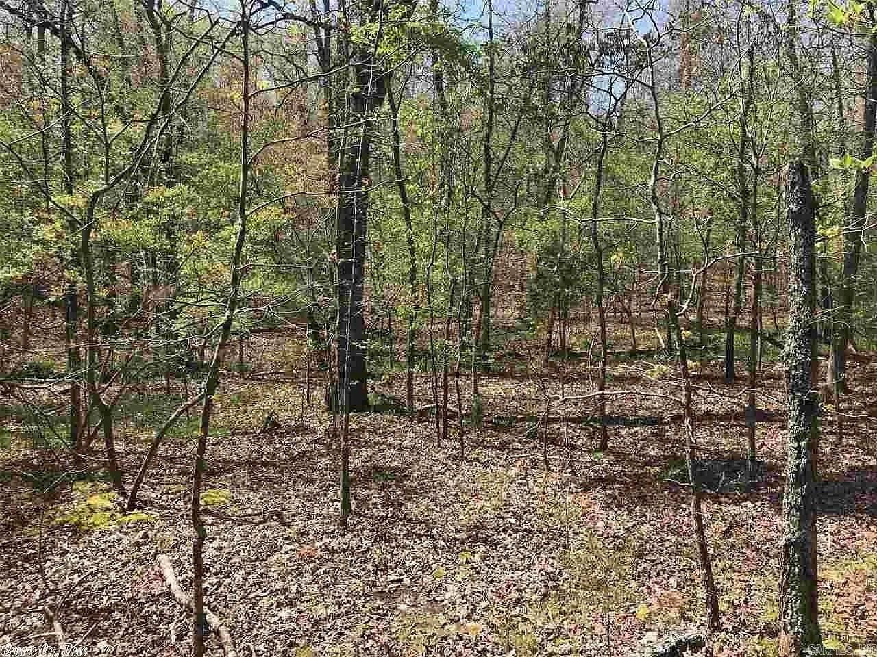 White Horse Mountain - Land