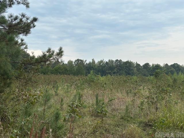 11+ acres in Malvern, Arkansas.   Discover the perfect setting for your dream home on the 11+ acre corner parcel in Malvern.  Close to Hot Springs and Central Arkansas. With plenty of space to spread out, you'll enjoy peaceful, private living surrounded by nature.  Whether you're looking to build your forever home, create a small homestead or simply invest in land this property offers endless possibilities.  Come design your own dream estate and experience tranquility of country living with space to grow.