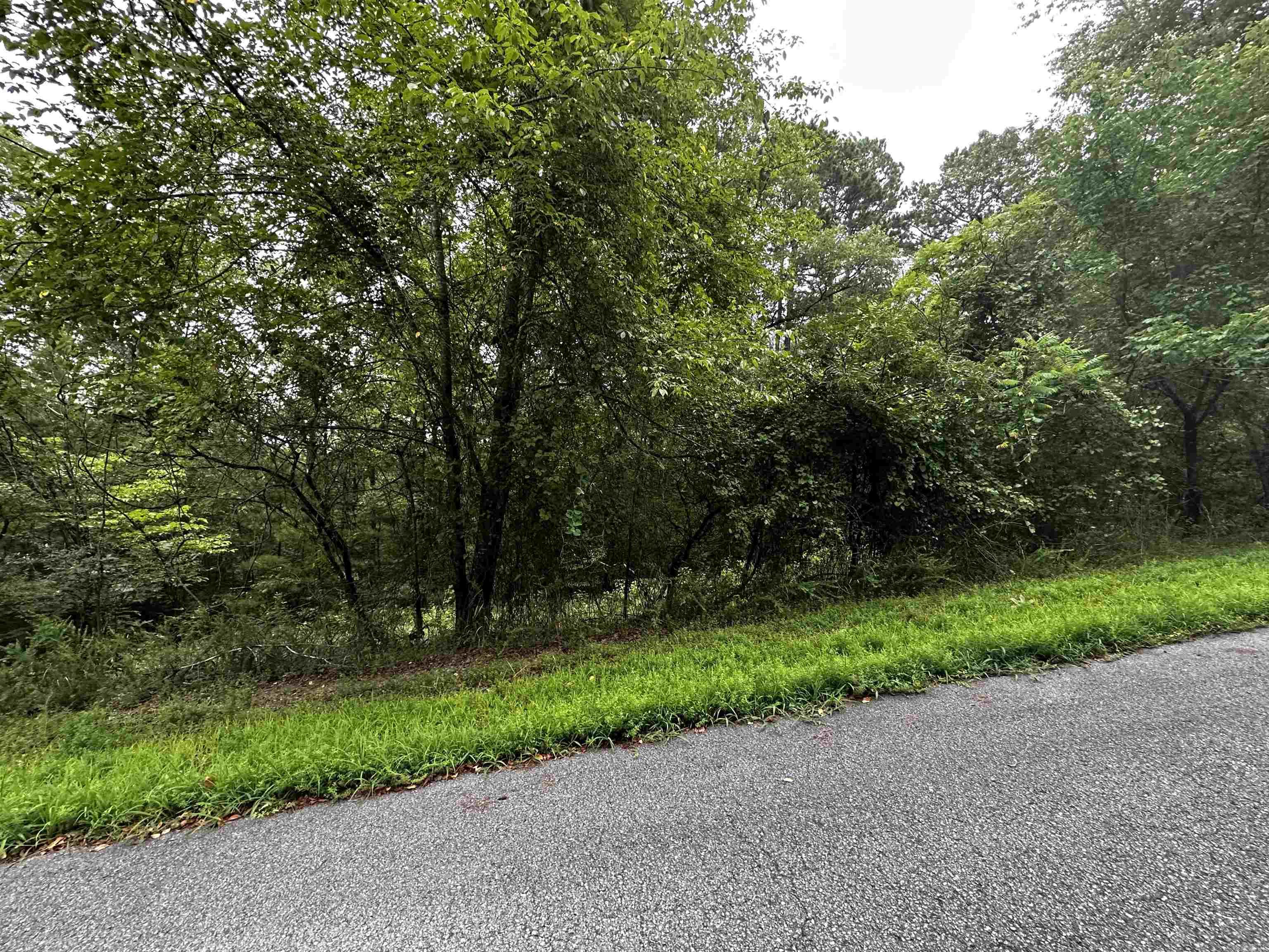 Great Neighborhood to build your dream home at the lake. Undergrounds utilities already in place!  Mineral rights do not convey.