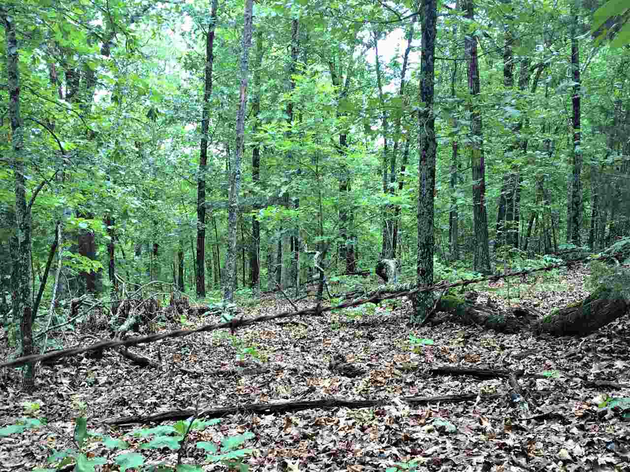 40 ac near Cherokee Village, AR. Excellent for whitetail deer and turkey. The timber is mature and a selective cut could generate income while improving habitat for wildlife at the same time.  Two small creeks run together in the middle of the property providing a water source. Less than a mile from the South Fork Spring River.