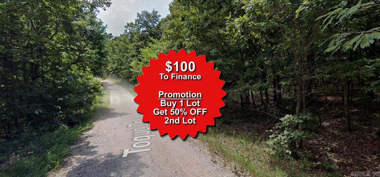Buy one lot and get 50% off an additional lot! Owner-finance for easy terms. Nice lot to develop or hold for future value. Public water and electric are available to run to property and will need septic. Owner/agent. No mobiles allowed. Finance is $100 down and $99 a month for 10 months. Quit claim deed conveys. Closing costs are included. No limit on lots. Bulk land sales specialist with the best land prices in Arkansas. Over 10 years, as a licensed Realtor, selling land.  Parcel ID# 200-13789-000