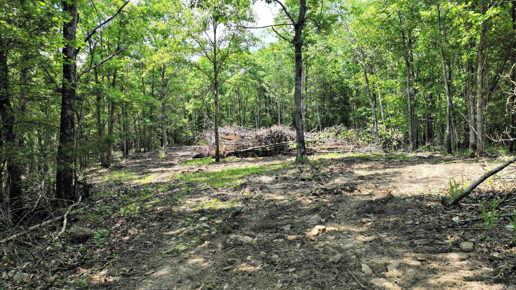 10.13-acre wooded tract with mountain views and a potential homesite situated near the back of the property for added privacy. Access is by deeded easement, and the land includes a seasonal creek and a reported spring that may offer limited water use or gardening possibilities, subject to verification and approvals. The tract features mature trees, a primarily natural setting, and visible wildlife activity consistent with rural acreage. Electricity is understood to be available nearby, which may assist with future development plans. This property may be suitable for a weekend cabin, full-time residence, or periodic recreational use such as hunting or hiking, consistent with local regulations and any recorded restrictions. Two additional 10-acre tracts are available in the immediate area.