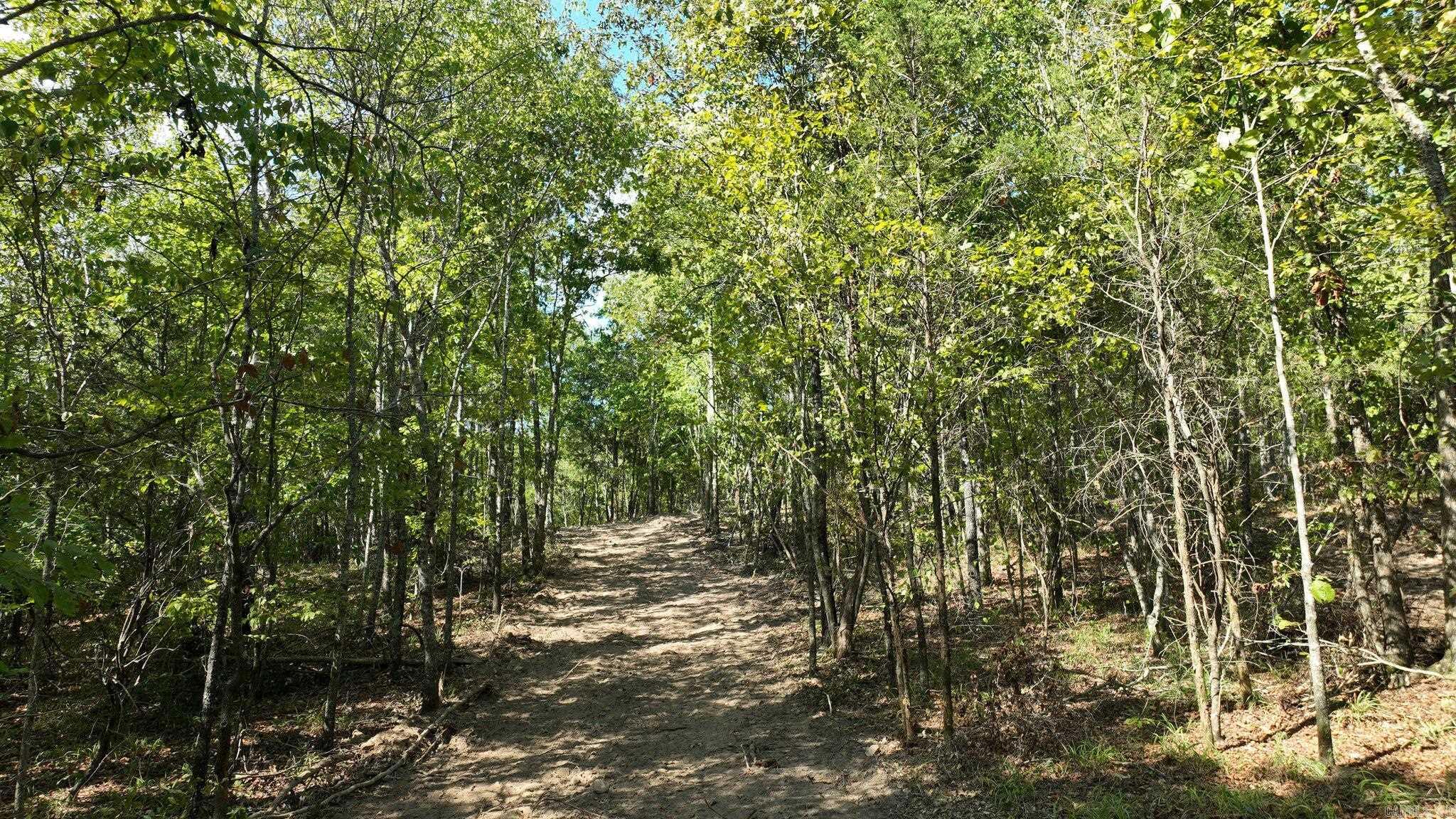 Alder Springs-Rocky - Land