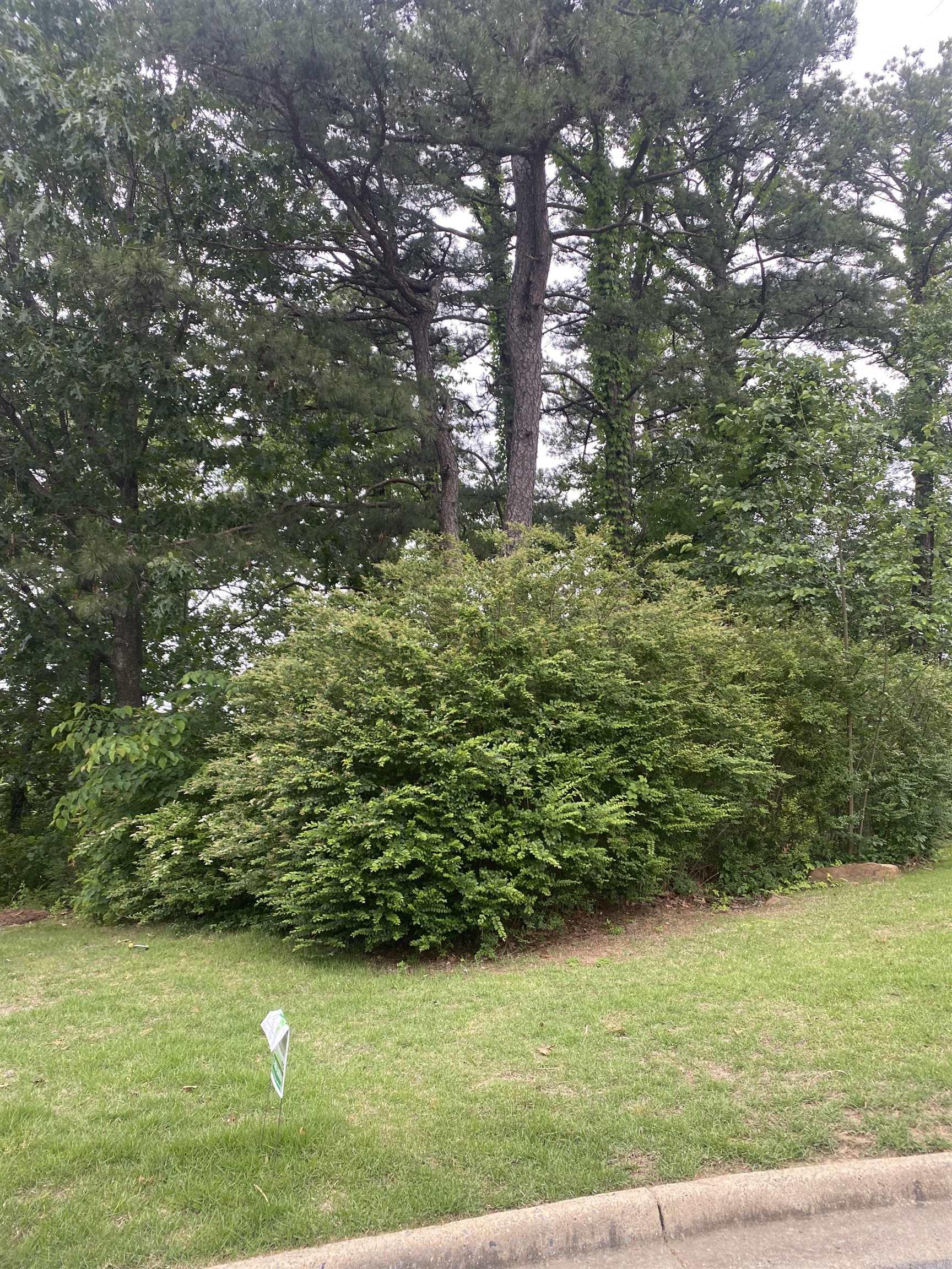 Cedar Branch - Land