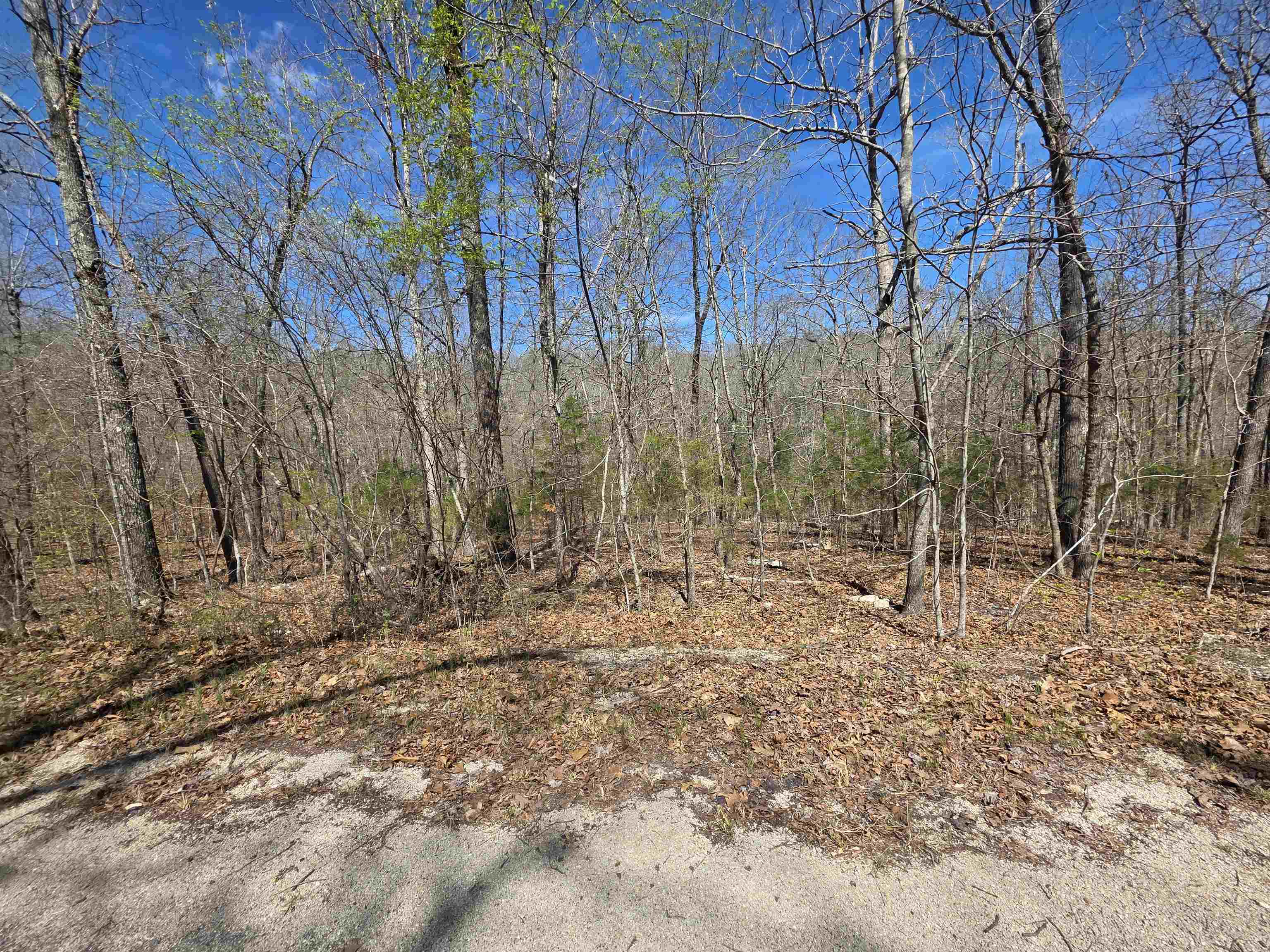 Seminole Second - Land