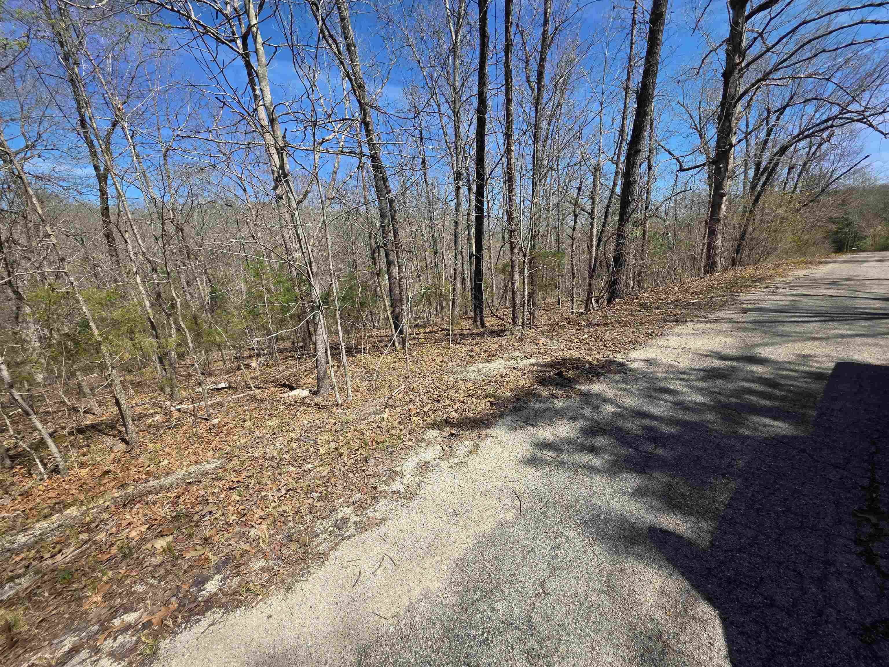 Nice lot with a front to back downward slope. Somewhat secluded but near the front of the Village entrance.  Lots of trees and lots of nature and wildlife. Come check this lot out, check out the view and see where you want to put your vacation home or your forever home. Retire here and fish 7 different lakes and golf 2 different 18-hole golf courses. Don't forget about the beautiful South Fork River that flows right through the Village. Shop in Old Hardy town and trout fish the Spring River. That's living the Cherokee Village lifestyle.