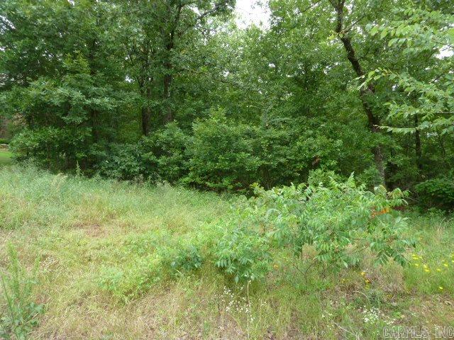 Wild Wood - Land